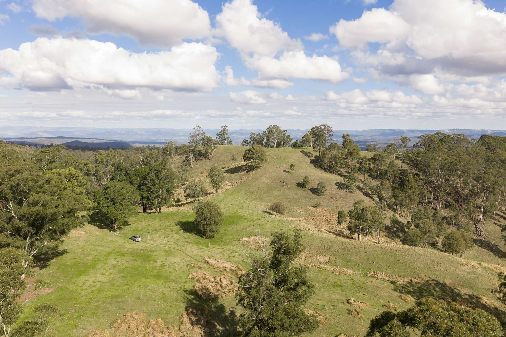 "Mount Albion" 203 Collingwood Road, Hampton For Sale by Farmbuy.com - image 16