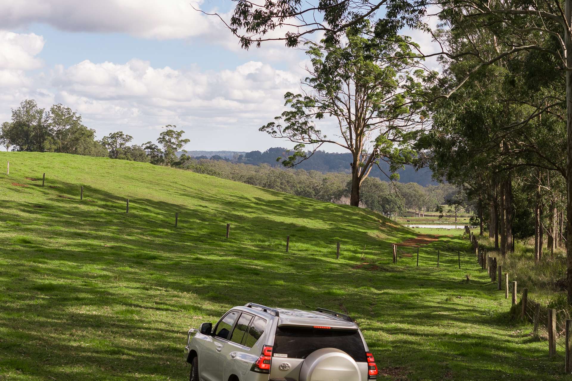 "Mount Albion" 203 Collingwood Road, Hampton For Sale by Farmbuy.com - image 13