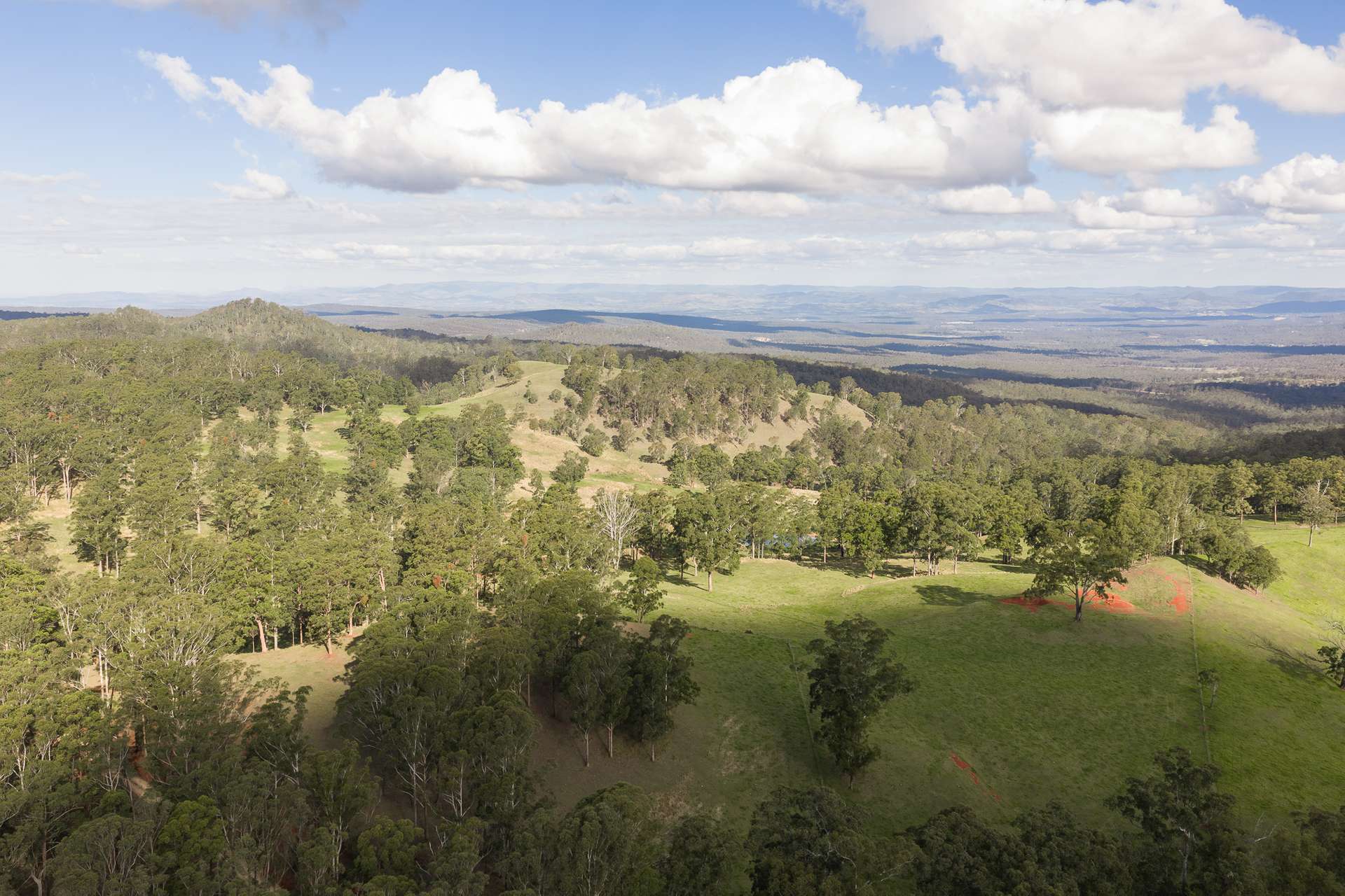 "Mount Albion" 203 Collingwood Road, Hampton For Sale by Farmbuy.com - image 24