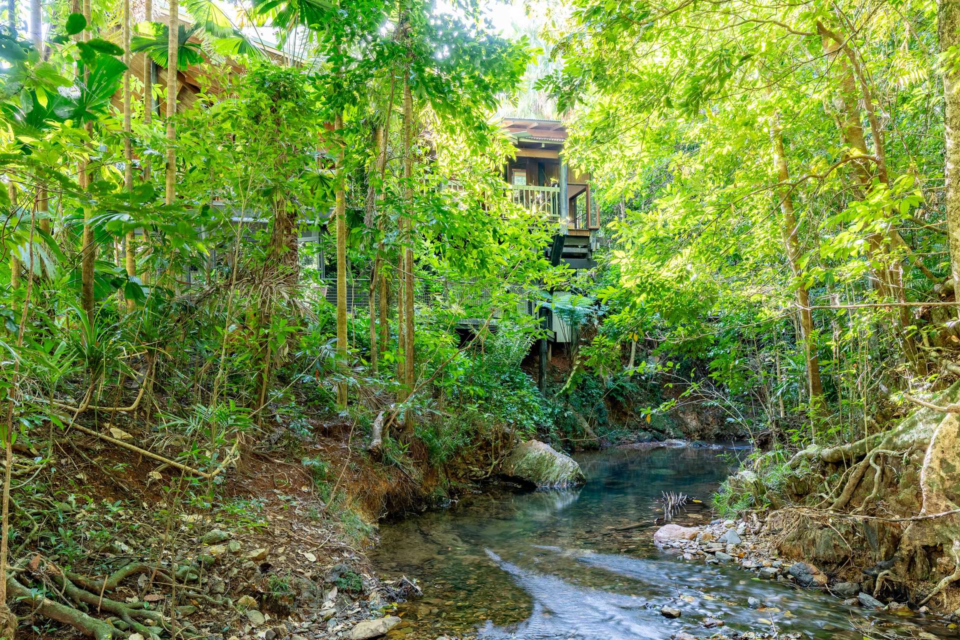 472 Buchanan Creek Road, Cow Bay, Daintree For Sale by Farmbuy.com - image 7