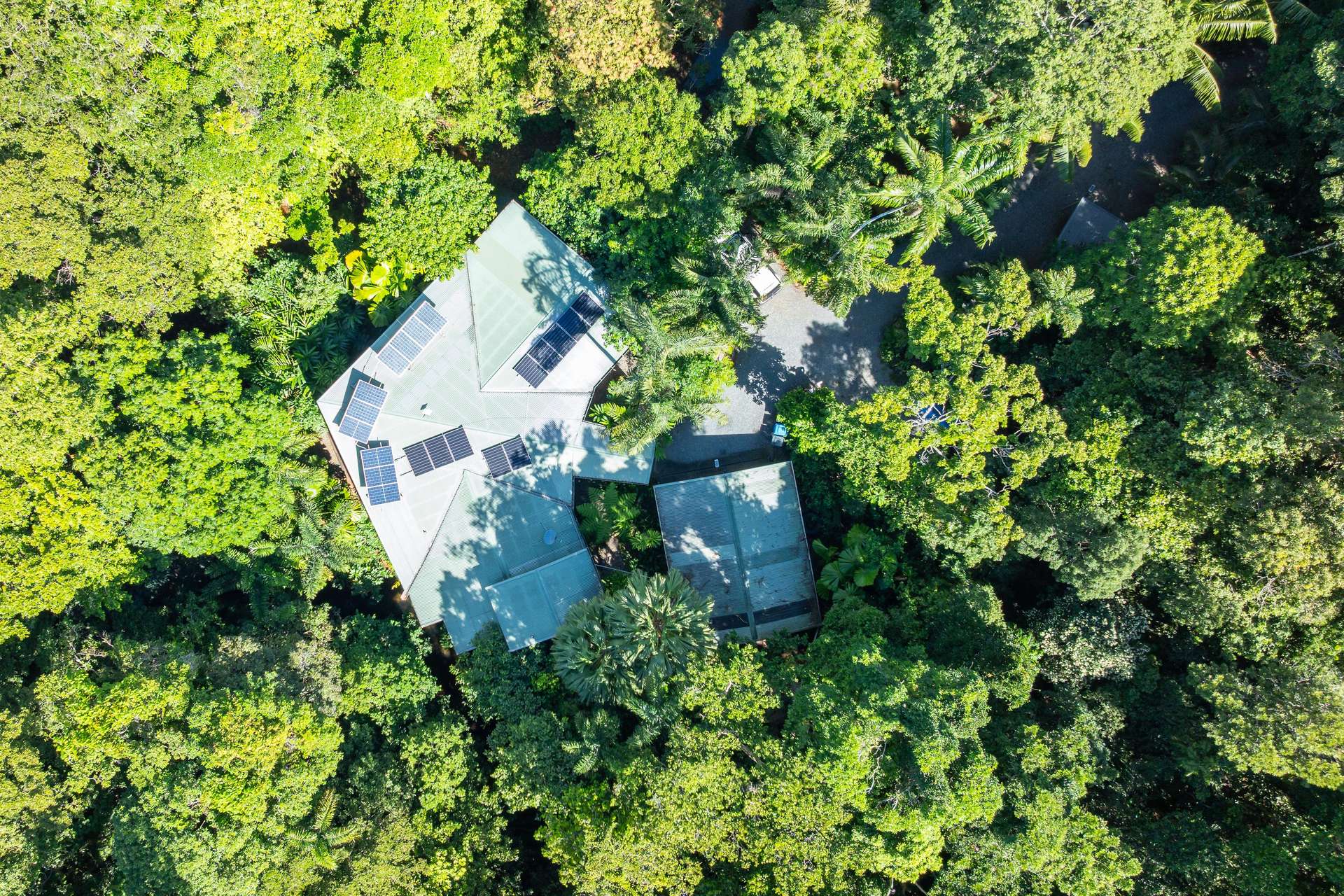 472 Buchanan Creek Road, Cow Bay, Daintree For Sale by Farmbuy.com - image 24