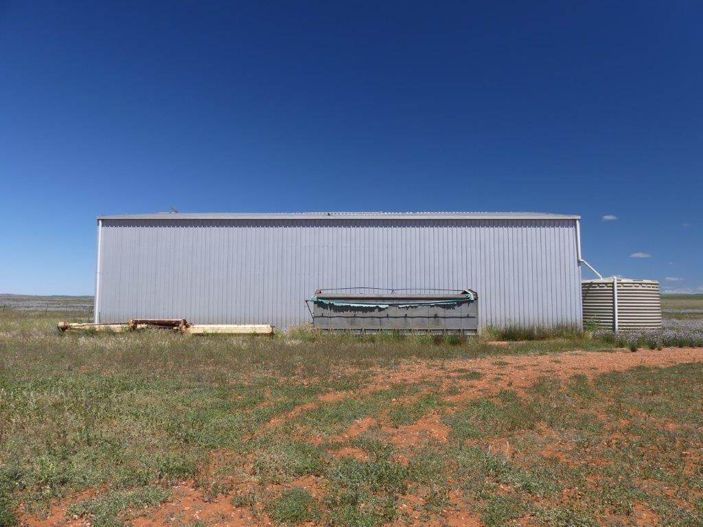 Yongala Vale & Malycha Road, Peterborough For Sale by Farmbuy.com - image 6