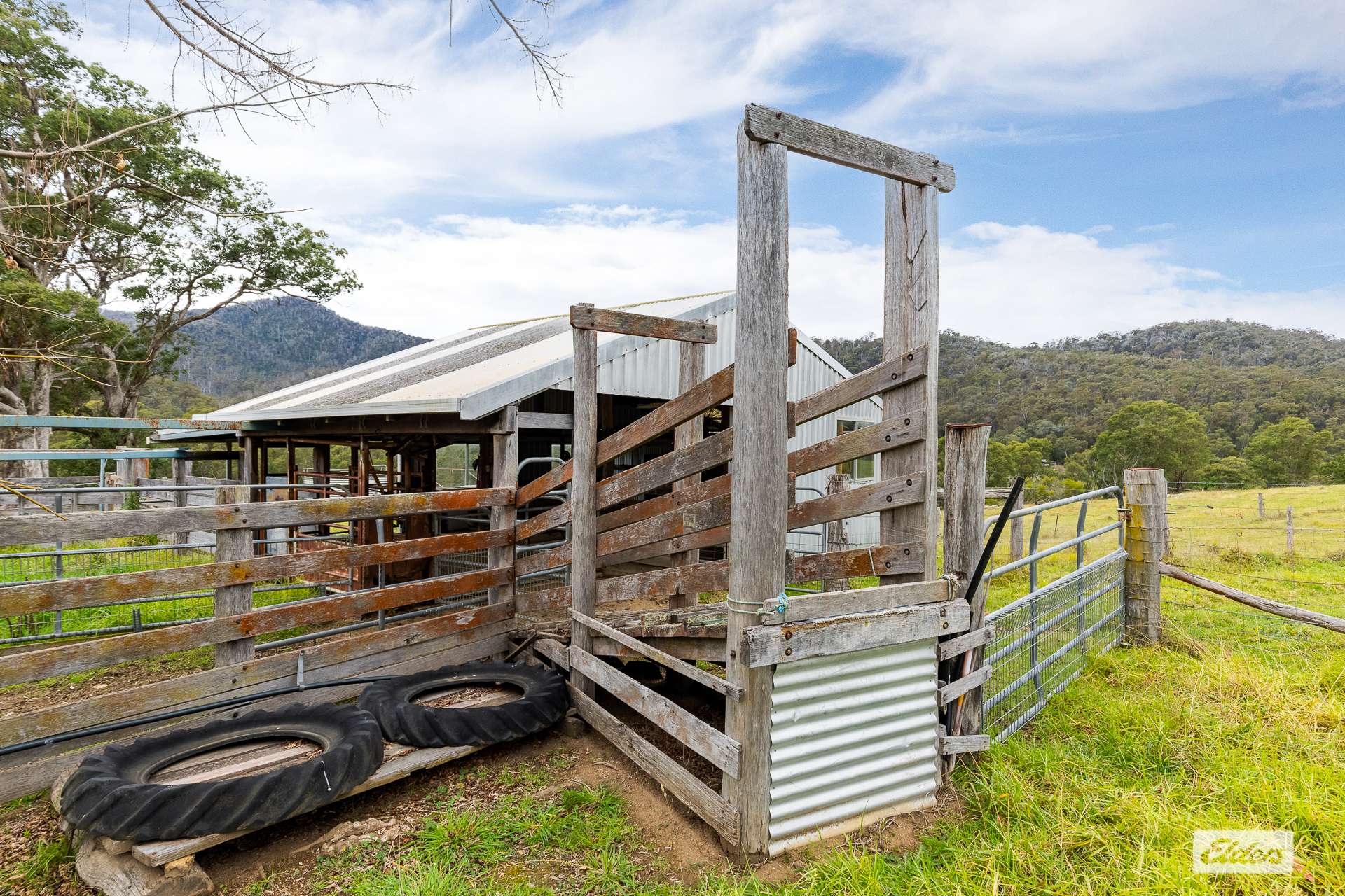 616 New Buildings Road, Wyndham For Sale by Farmbuy.com - image 29