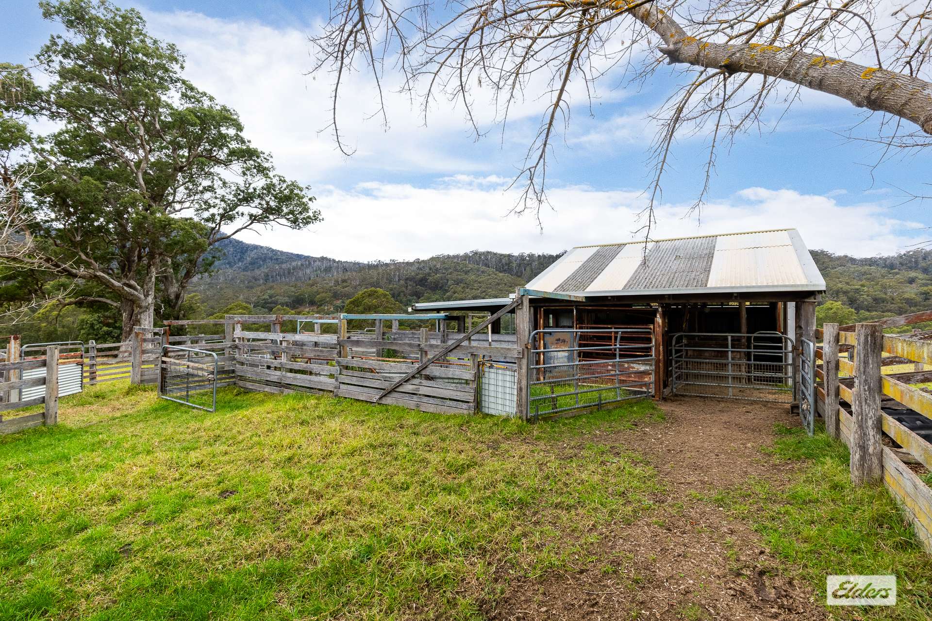 616 New Buildings Road, Wyndham For Sale by Farmbuy.com - image 30