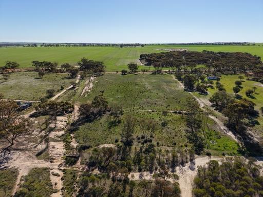 Farm For Sale - WA - Meckering - 6405 - Your Country Escape Starts Here 