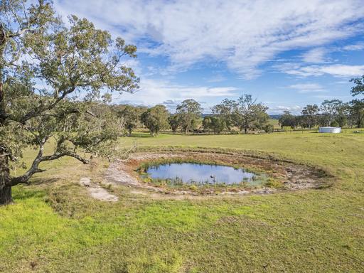 Farm Sold - NSW - Butterwick - 2321 - Rare 20-Acre Rural Lifestyle Opportunity in Butterwick 