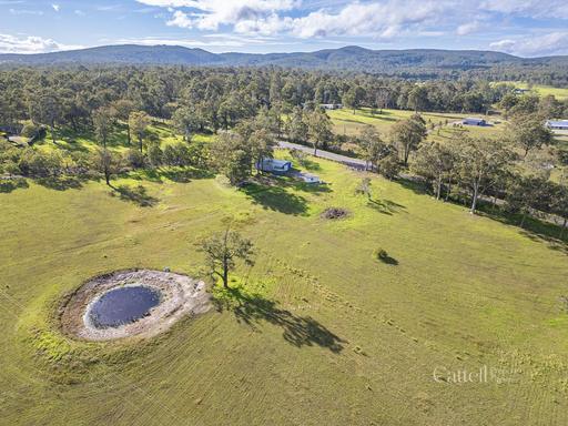 Farm For Sale - NSW - Butterwick - 2321 - Rare 20-Acre Rural Lifestyle Opportunity in Butterwick 