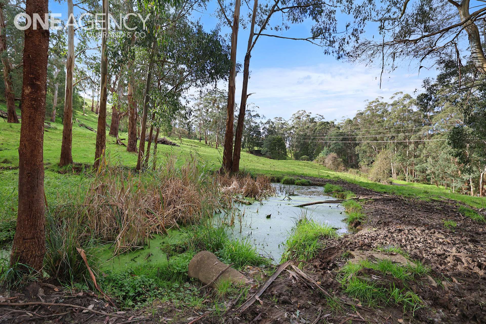 1236 Coalville Road, Narracan For Sale by Farmbuy.com - image 10