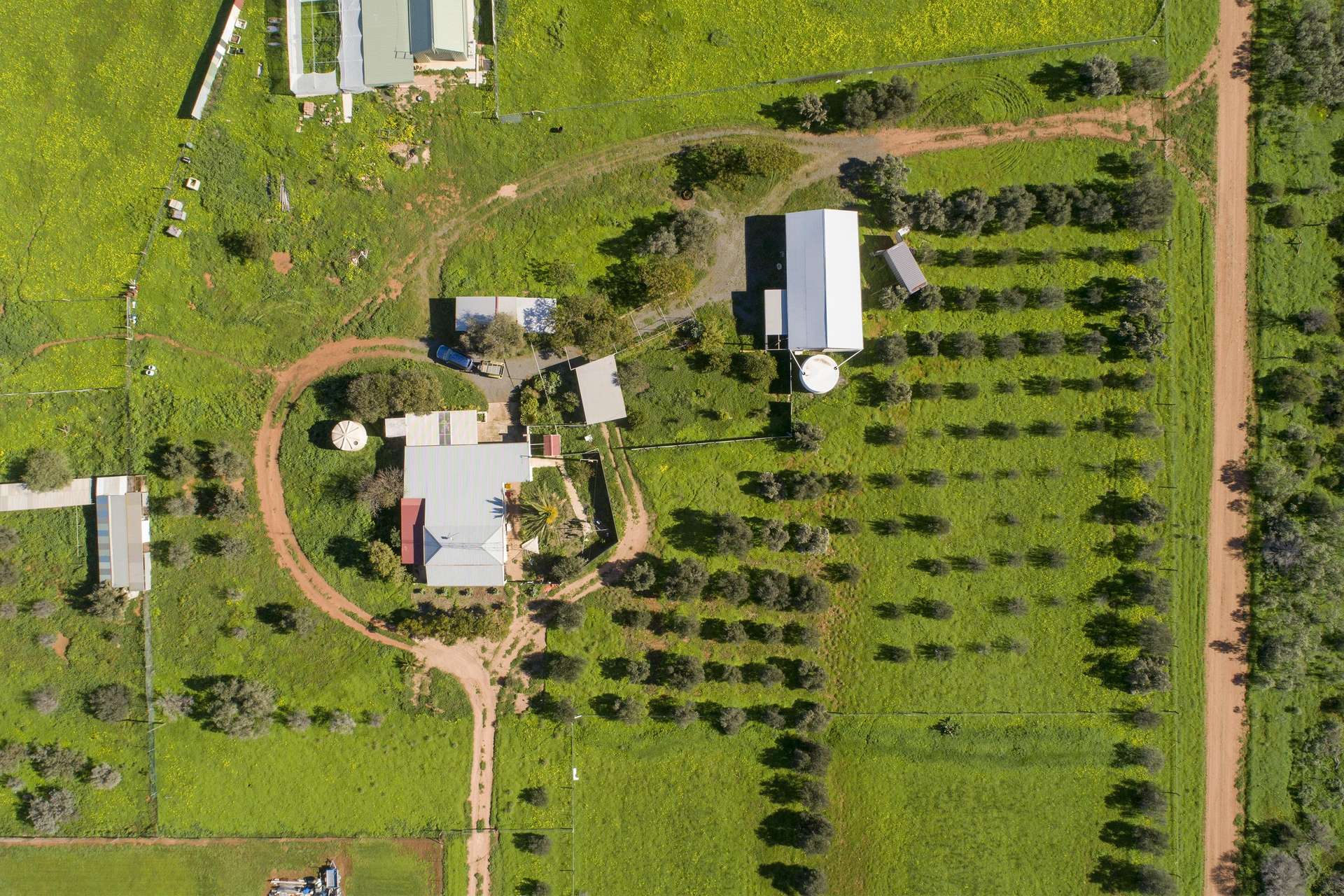 249 Scenic Drive N, Nelshaby For Sale by Farmbuy.com - image 30