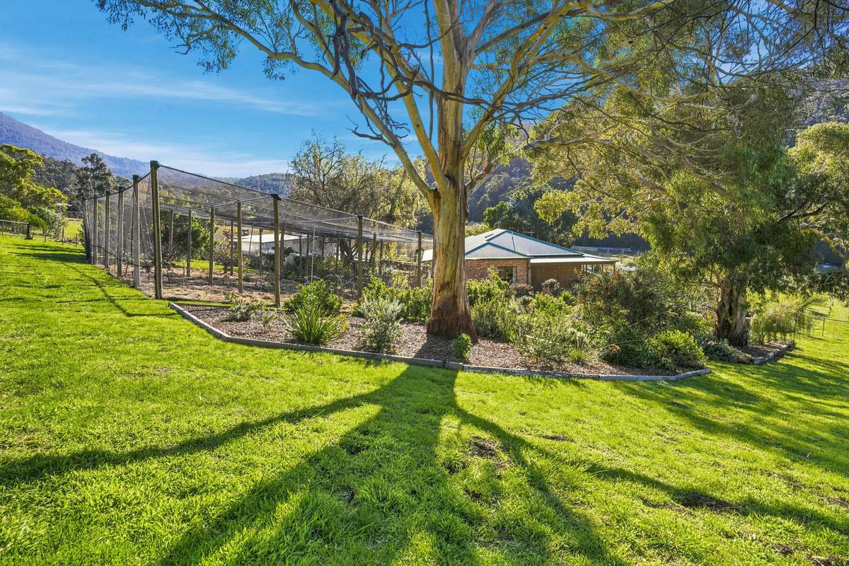119 Church Road, Dromedary For Sale by Farmbuy.com - image 21