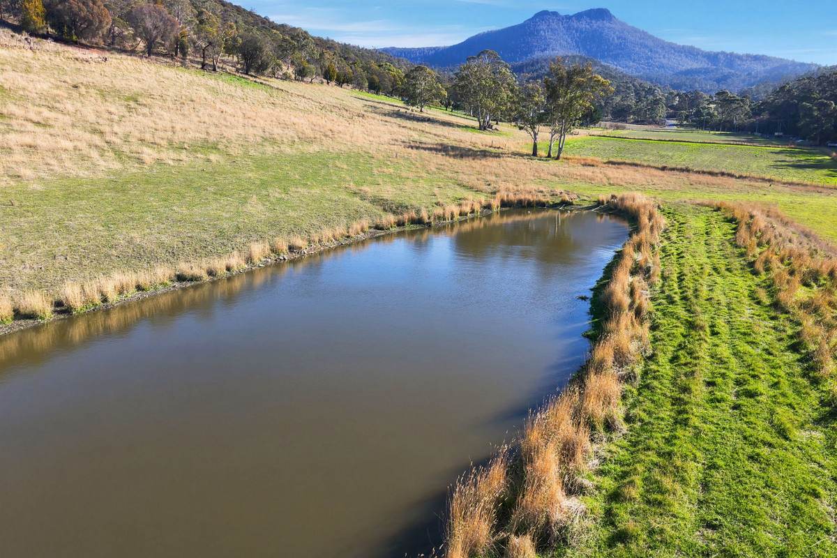 119 Church Road, Dromedary For Sale by Farmbuy.com - image 30