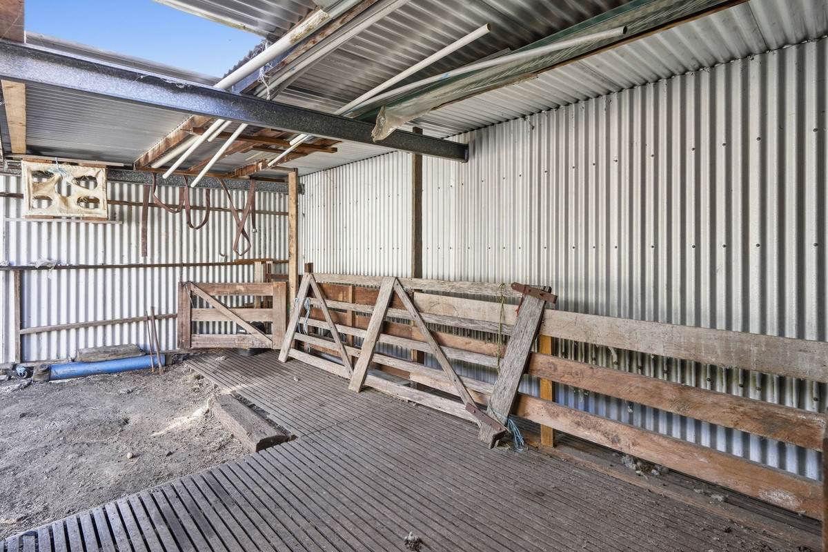 119 Church Road, Dromedary For Sale by Farmbuy.com - image 33