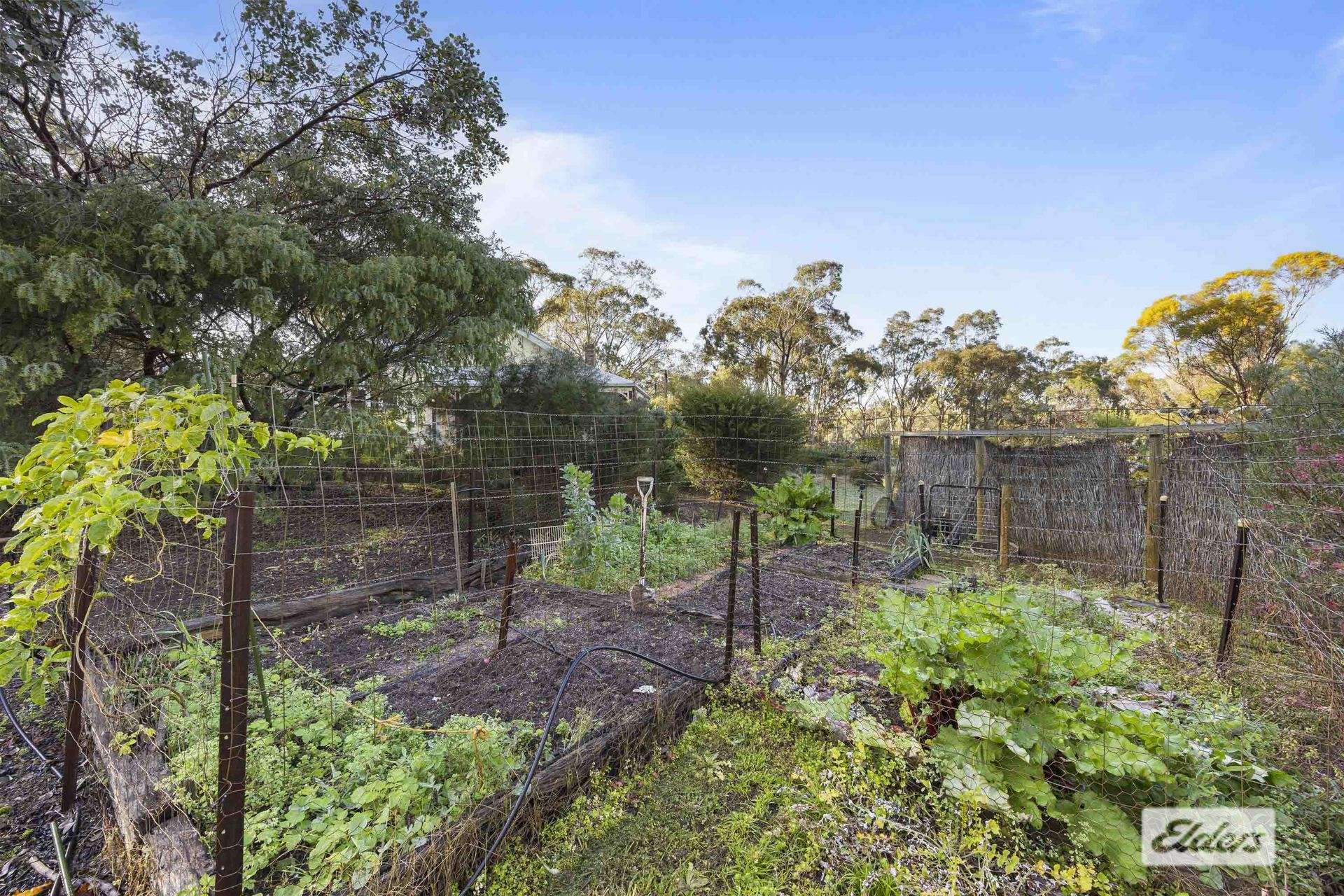 27 Bunyip Hill Road, Deep Lead For Sale by Farmbuy.com - image 28