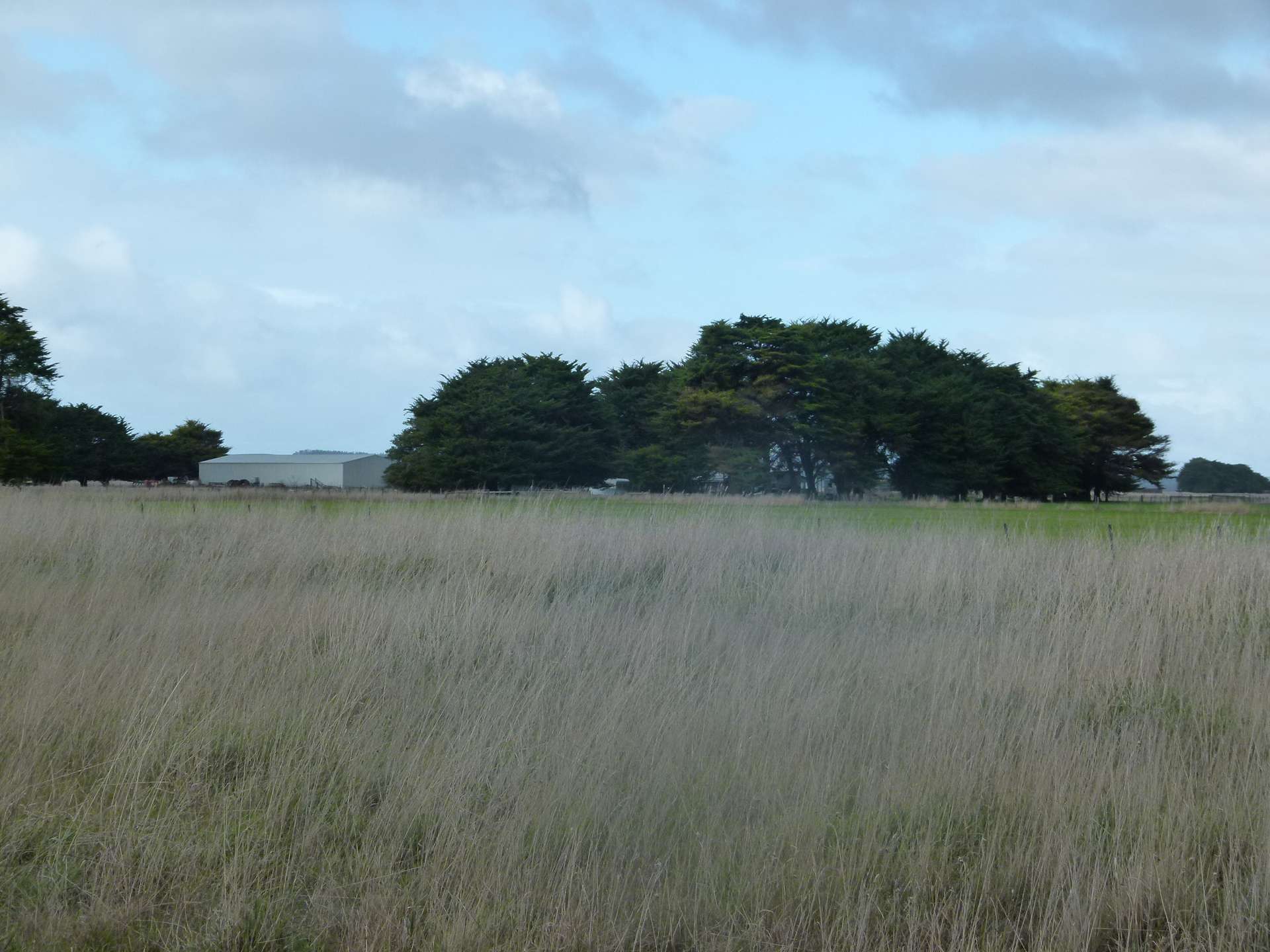 29543 Princes Highway, Millicent For Sale by Farmbuy.com - image 2