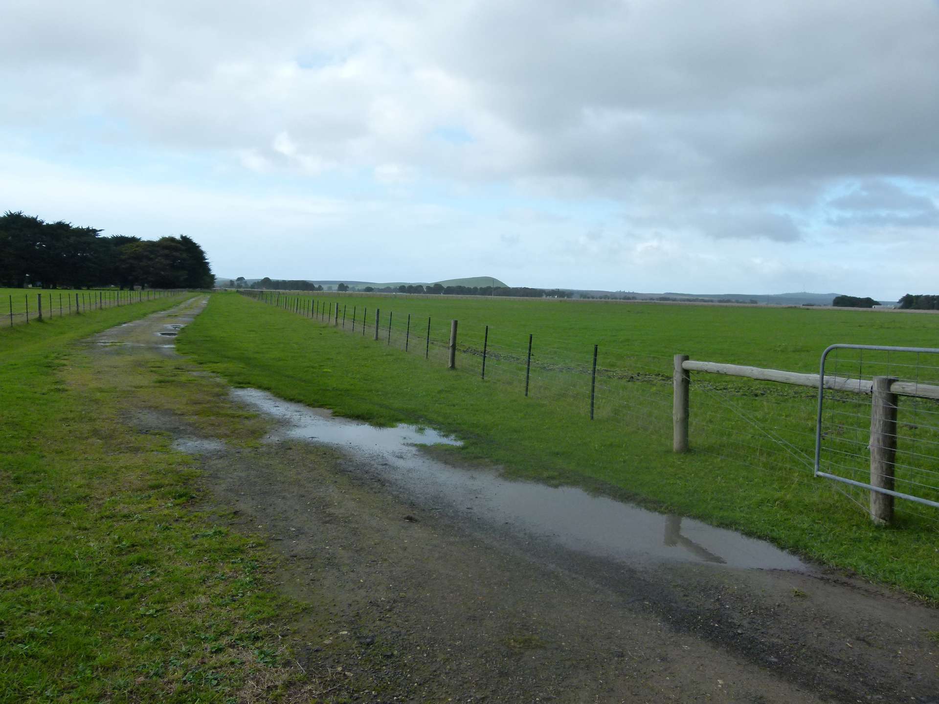 29543 Princes Highway, Millicent For Sale by Farmbuy.com - image 3