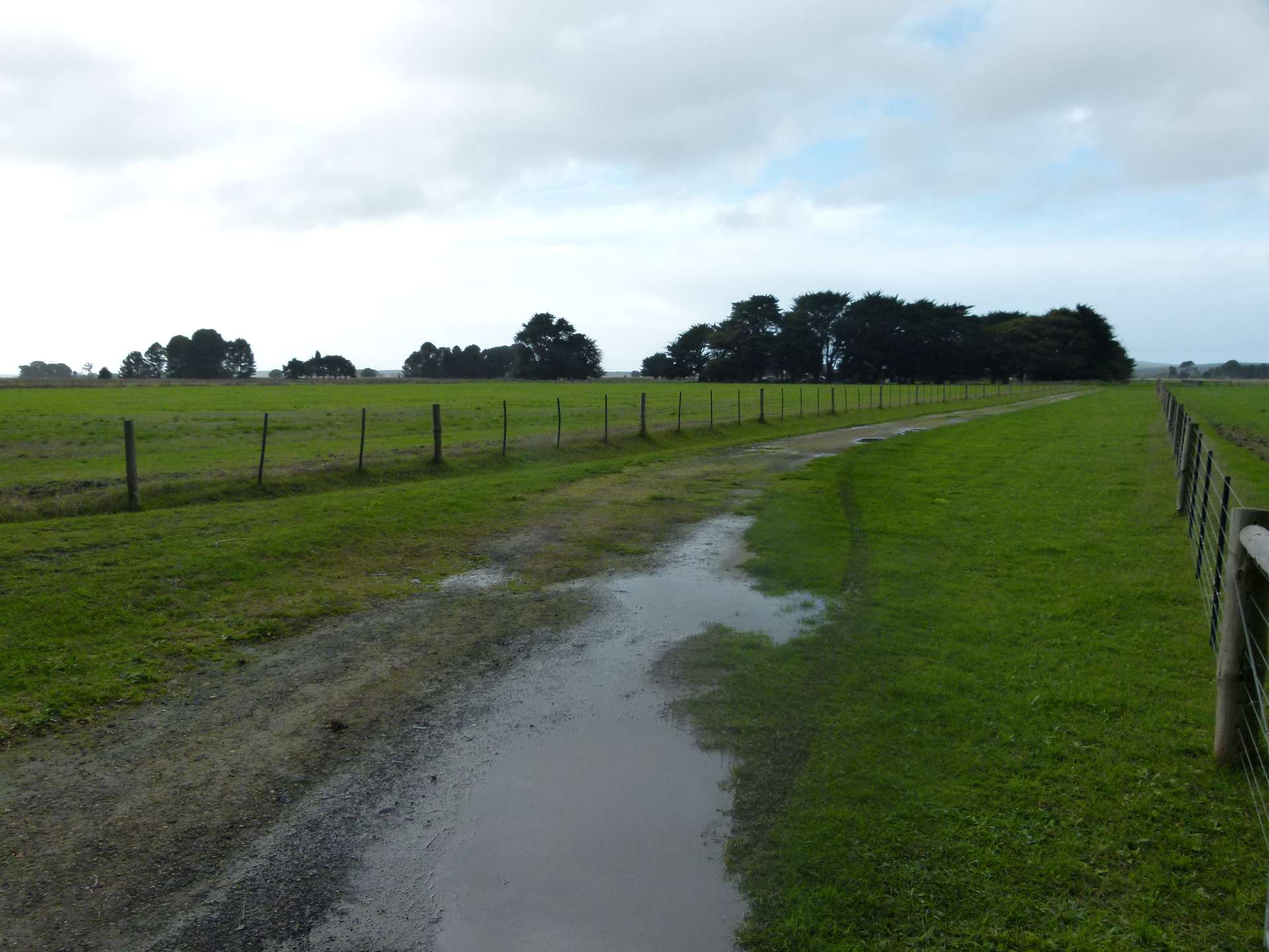 29543 Princes Highway, Millicent For Sale by Farmbuy.com - image 5