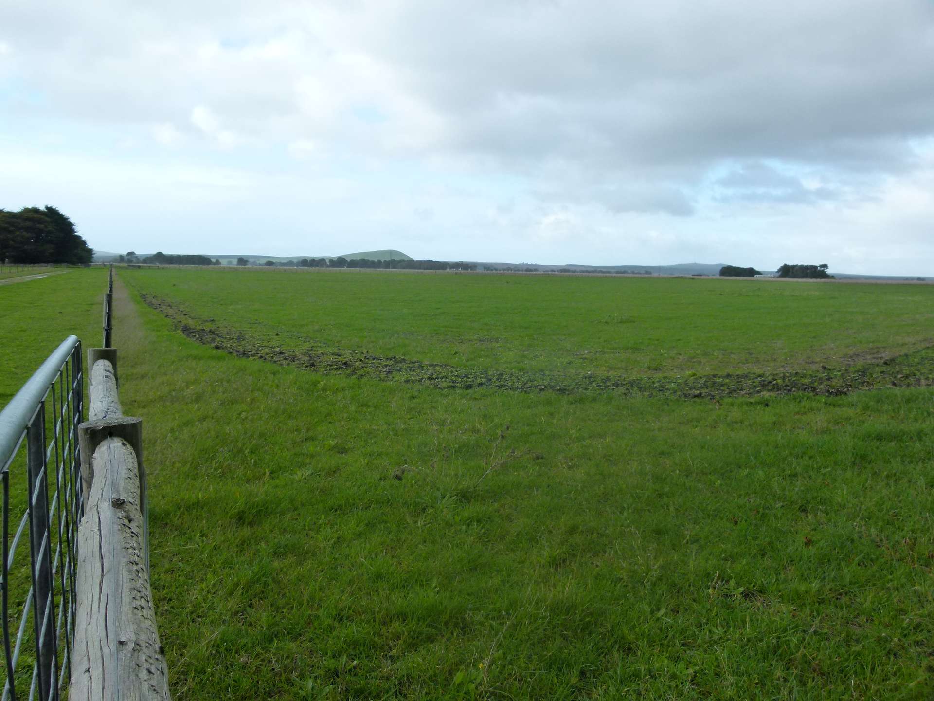 29543 Princes Highway, Millicent For Sale by Farmbuy.com - image 4