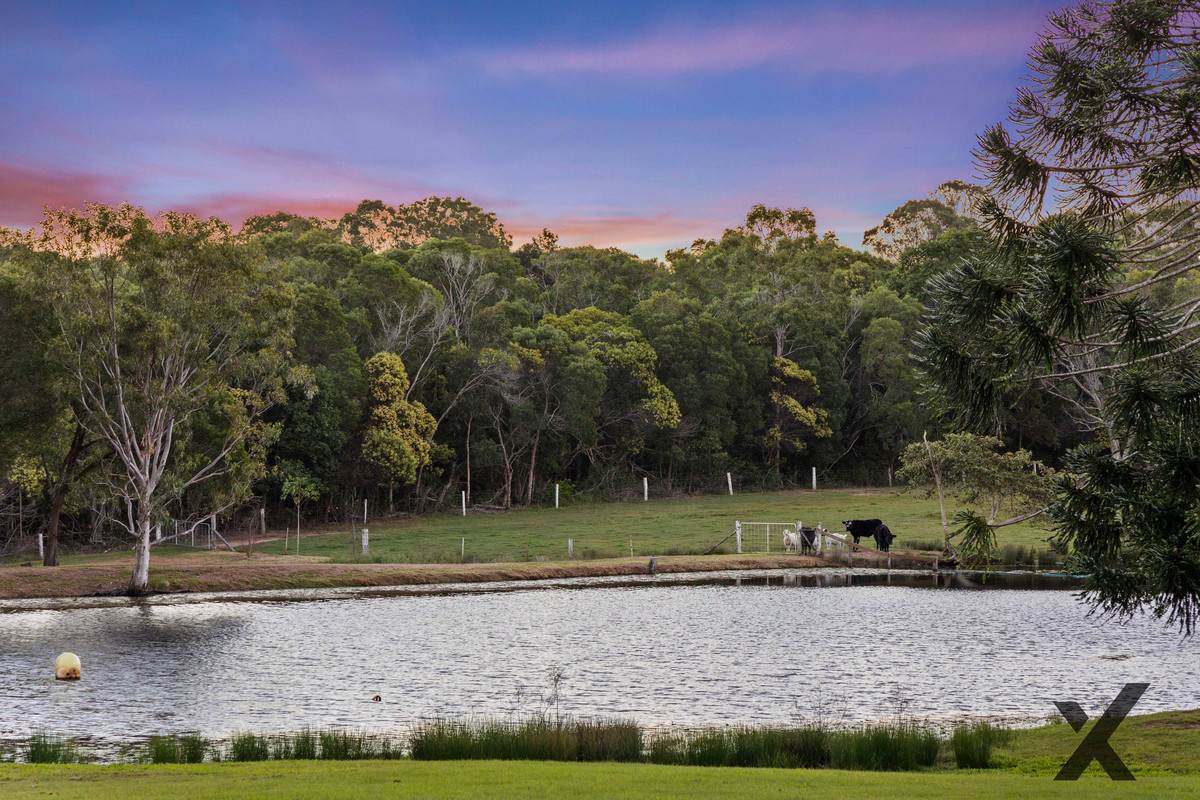 397A Bingham Road, Booral For Sale by Farmbuy.com - image 3