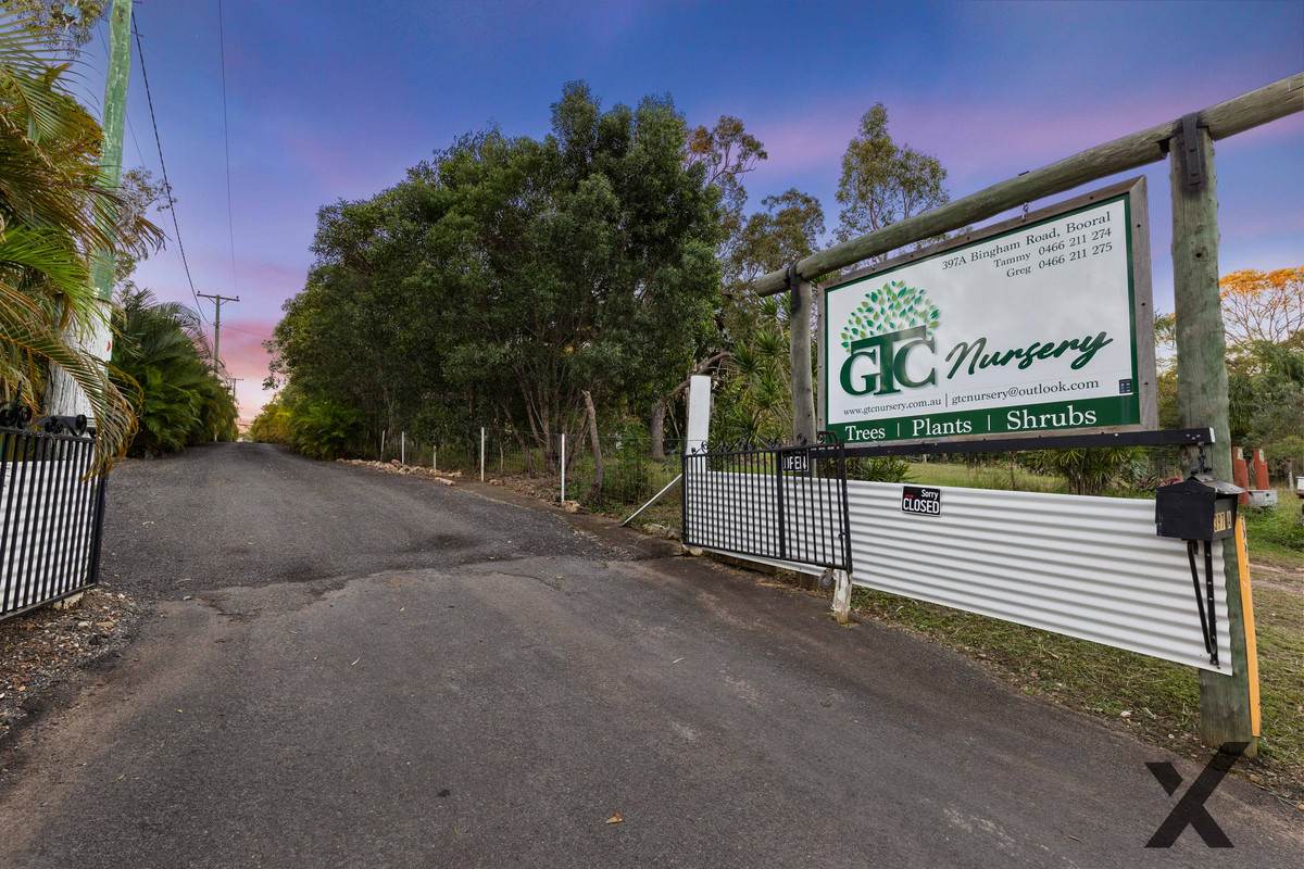 397A Bingham Road, Booral For Sale by Farmbuy.com - image 5