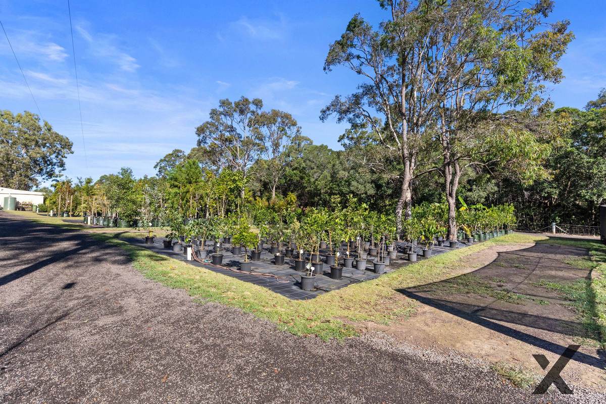 397A Bingham Road, Booral For Sale by Farmbuy.com - image 29