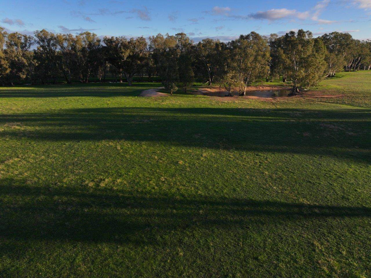 - Rheola-Llanelly Road, Murphys Creek For Sale by Farmbuy.com - image 4