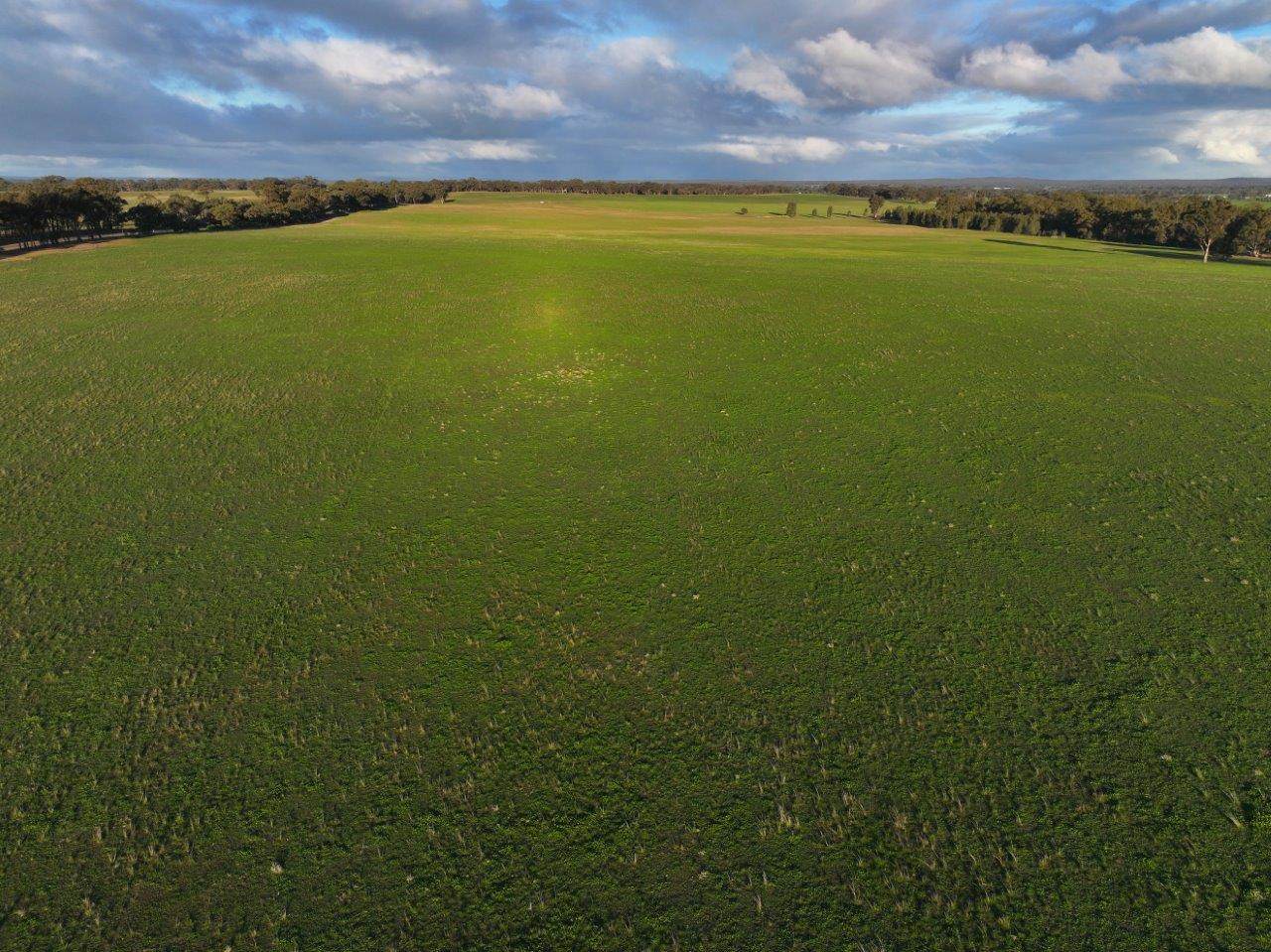 - Rheola-Llanelly Road, Murphys Creek For Sale by Farmbuy.com - image 9