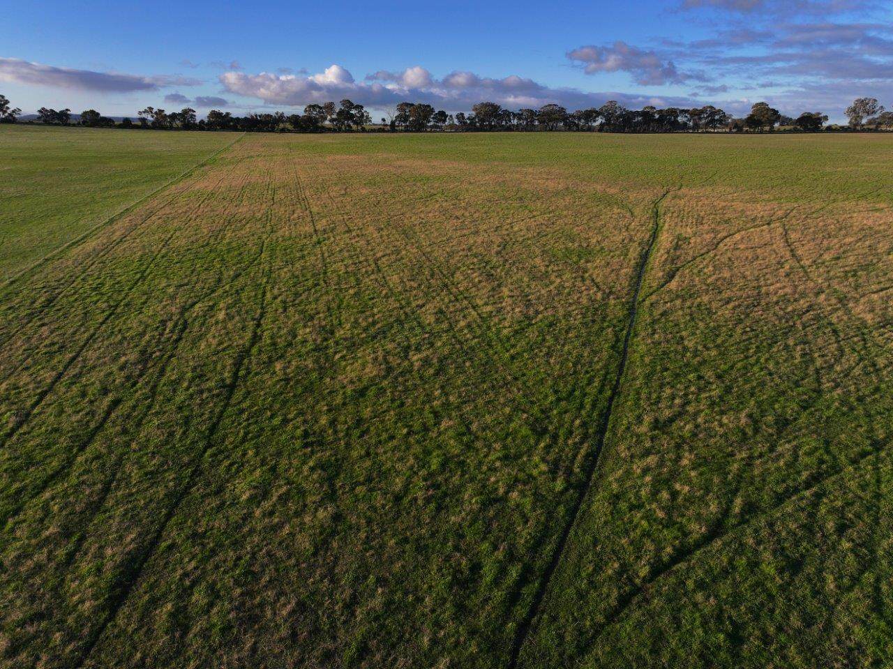 - Rheola-Llanelly Road, Murphys Creek For Sale by Farmbuy.com - image 12