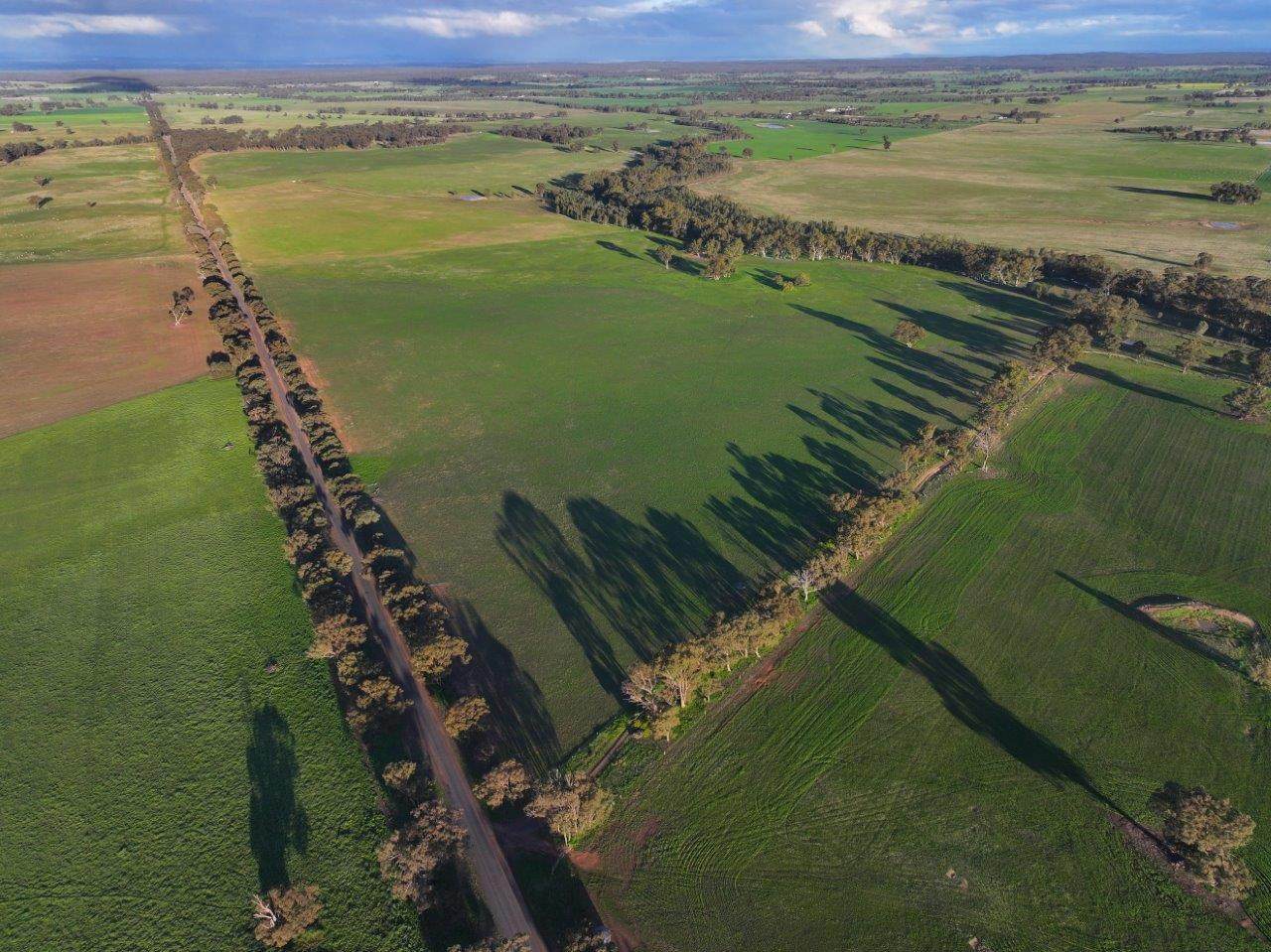 - Rheola-Llanelly Road, Murphys Creek For Sale by Farmbuy.com - image 2