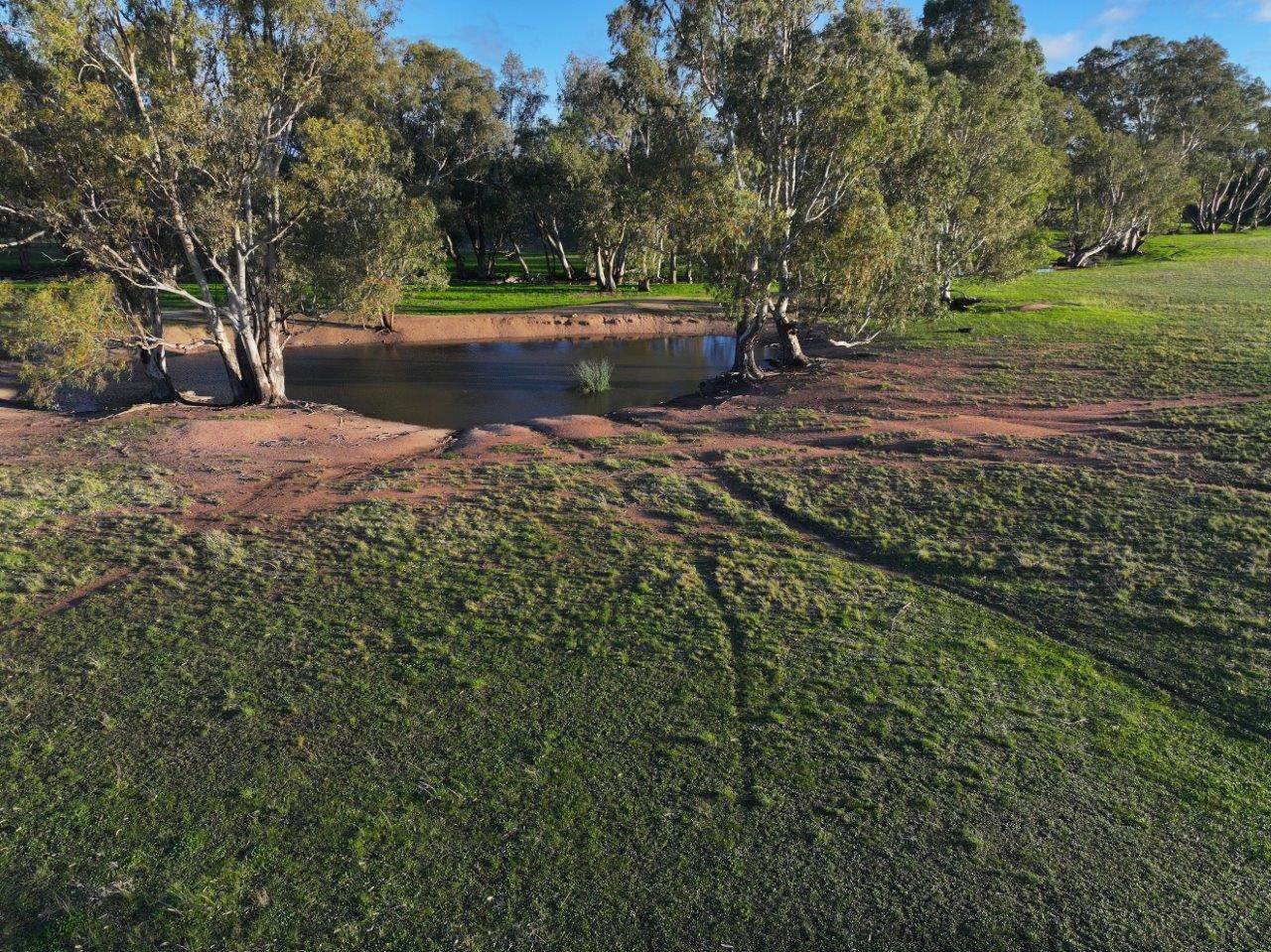 - Rheola-Llanelly Road, Murphys Creek For Sale by Farmbuy.com - image 3