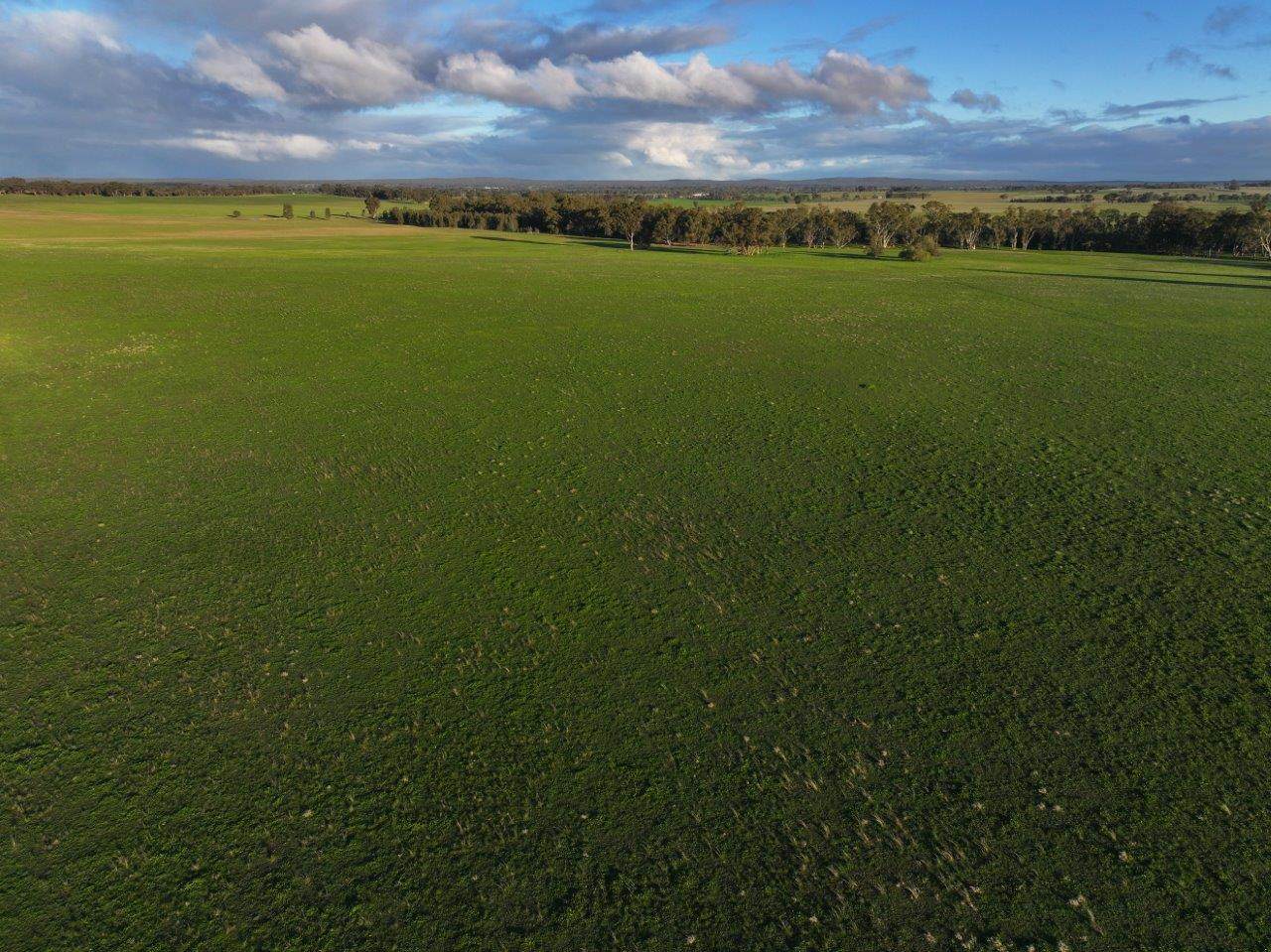 - Rheola-Llanelly Road, Murphys Creek For Sale by Farmbuy.com - image 8