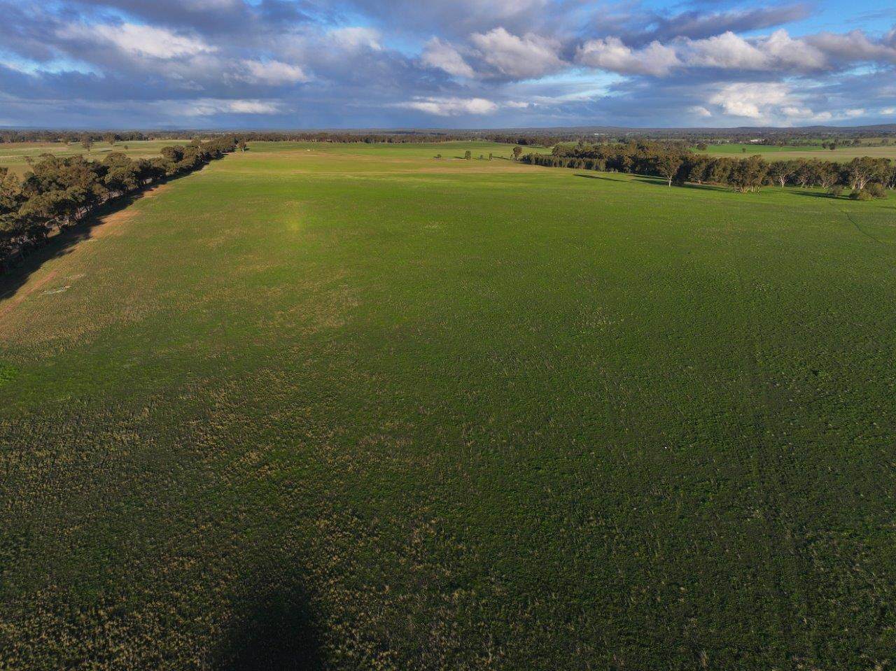 - Rheola-Llanelly Road, Murphys Creek For Sale by Farmbuy.com - image 7