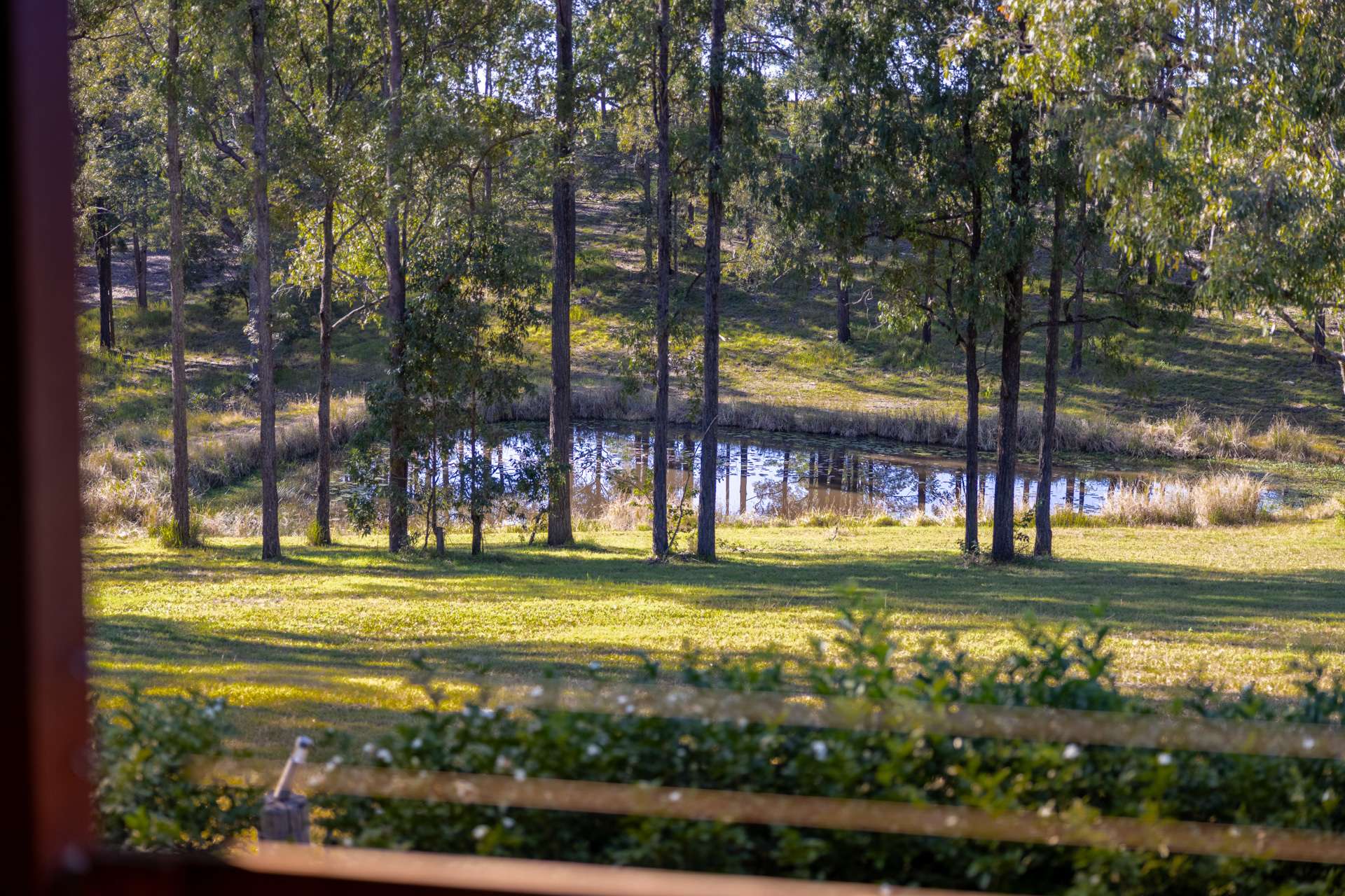 145 Plantation Lane, Cedar Party For Sale by Farmbuy.com - image 17
