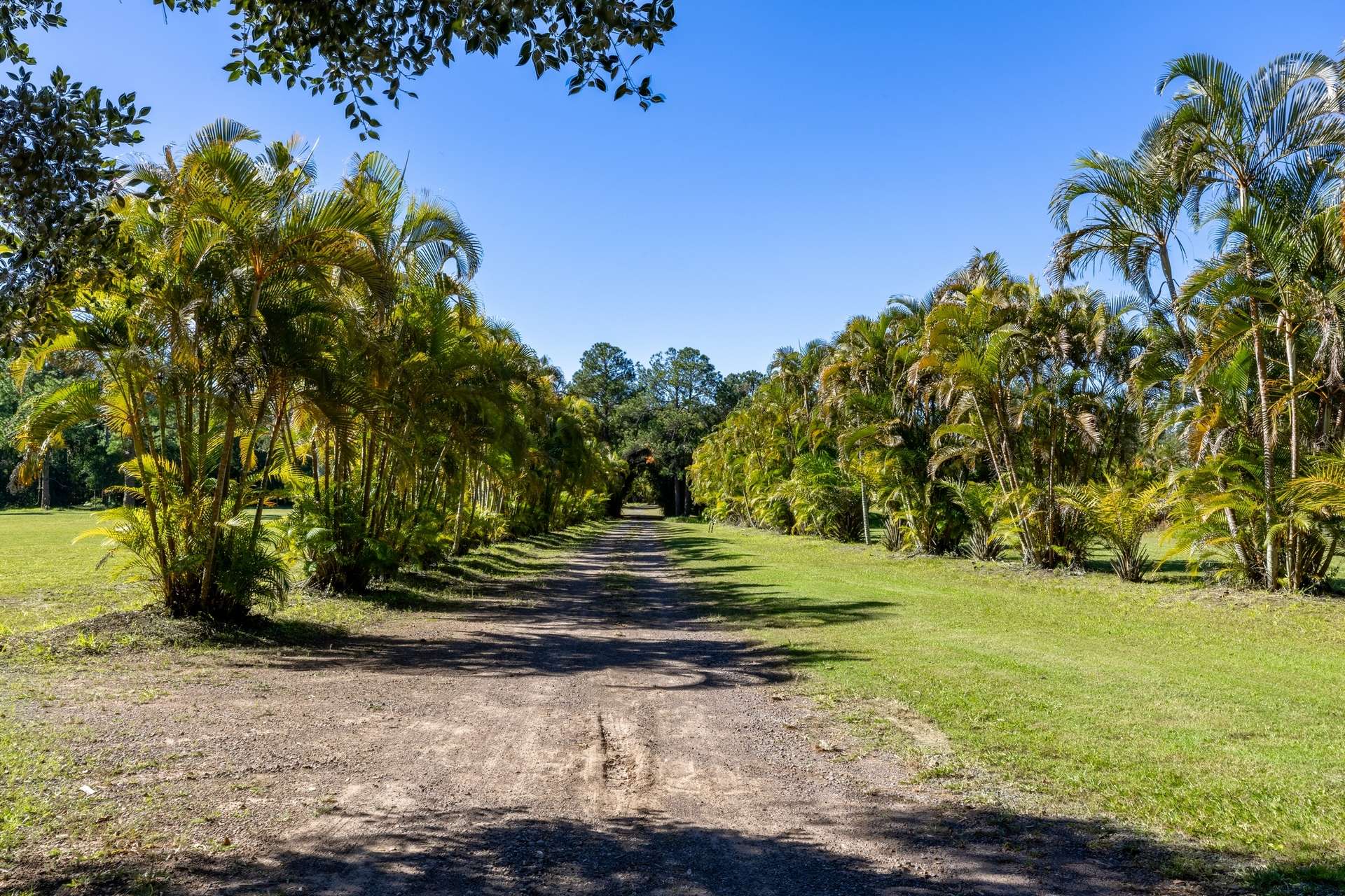 1 Connection Road, Glenview For Sale by Farmbuy.com - image 12