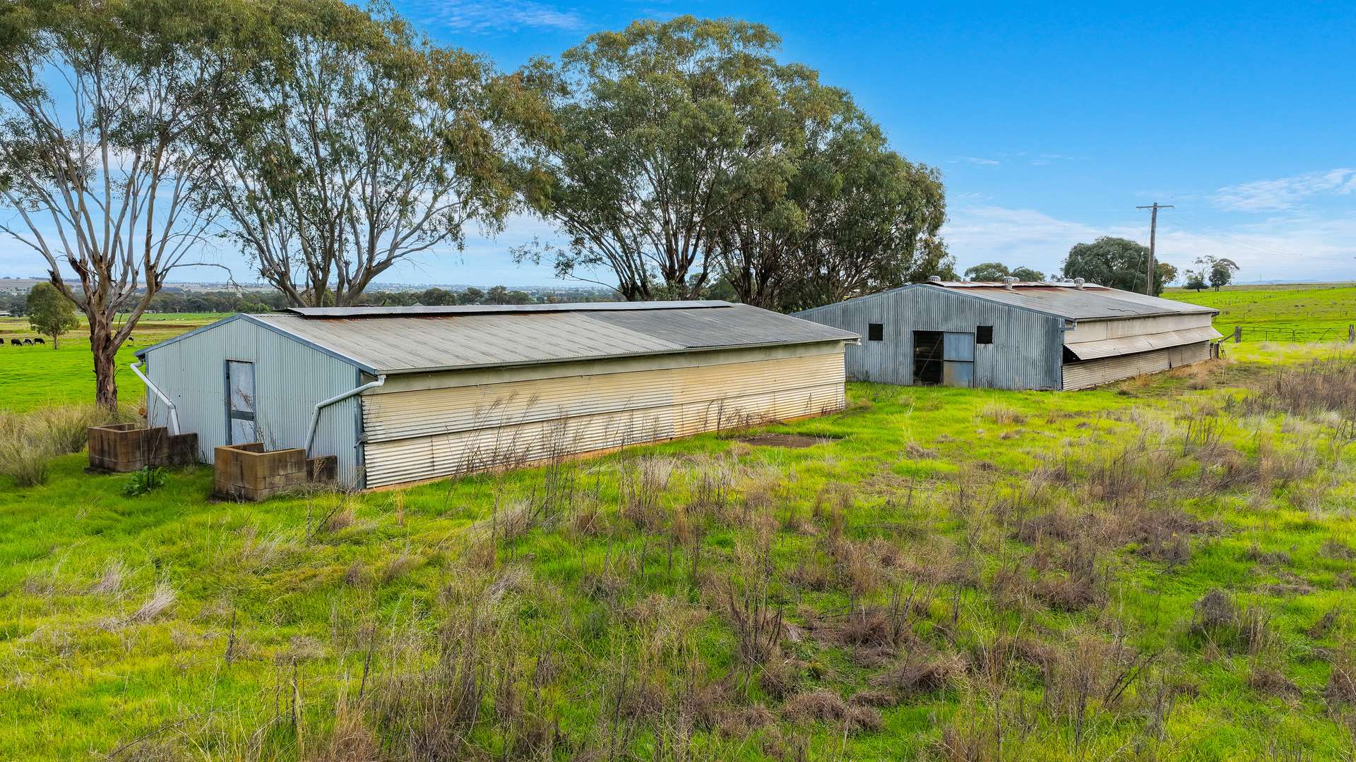 293 Meadows Lane, Tamworth For Sale by Farmbuy.com - image 13