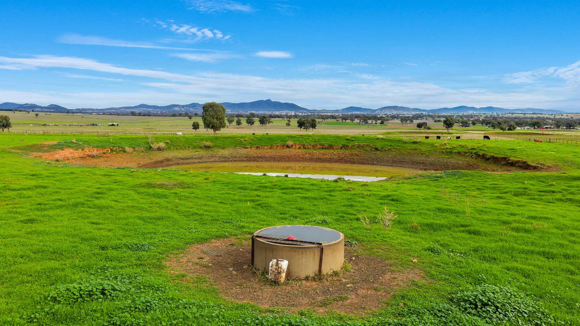 293 Meadows Lane, Tamworth For Sale by Farmbuy.com - image 16