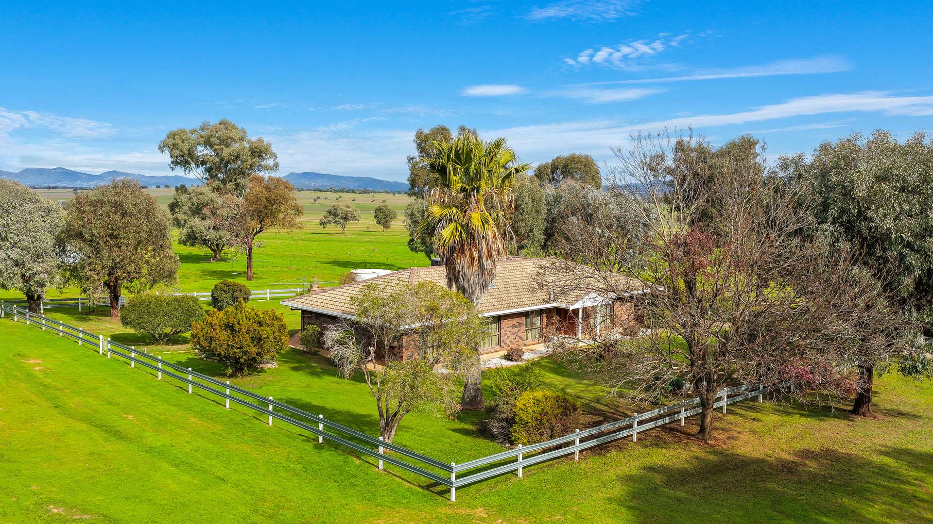 293 Meadows Lane, Tamworth For Sale by Farmbuy.com - image 4