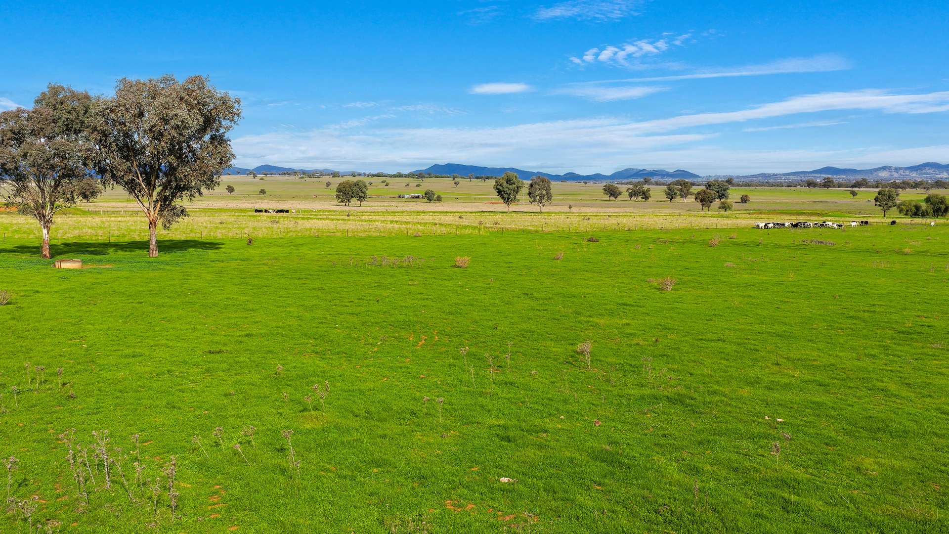 293 Meadows Lane, Tamworth For Sale by Farmbuy.com - image 22