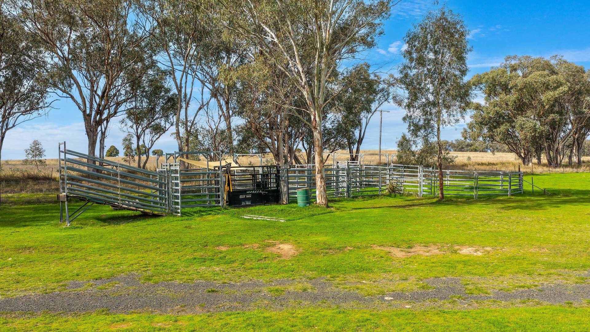 293 Meadows Lane, Tamworth For Sale by Farmbuy.com - image 11