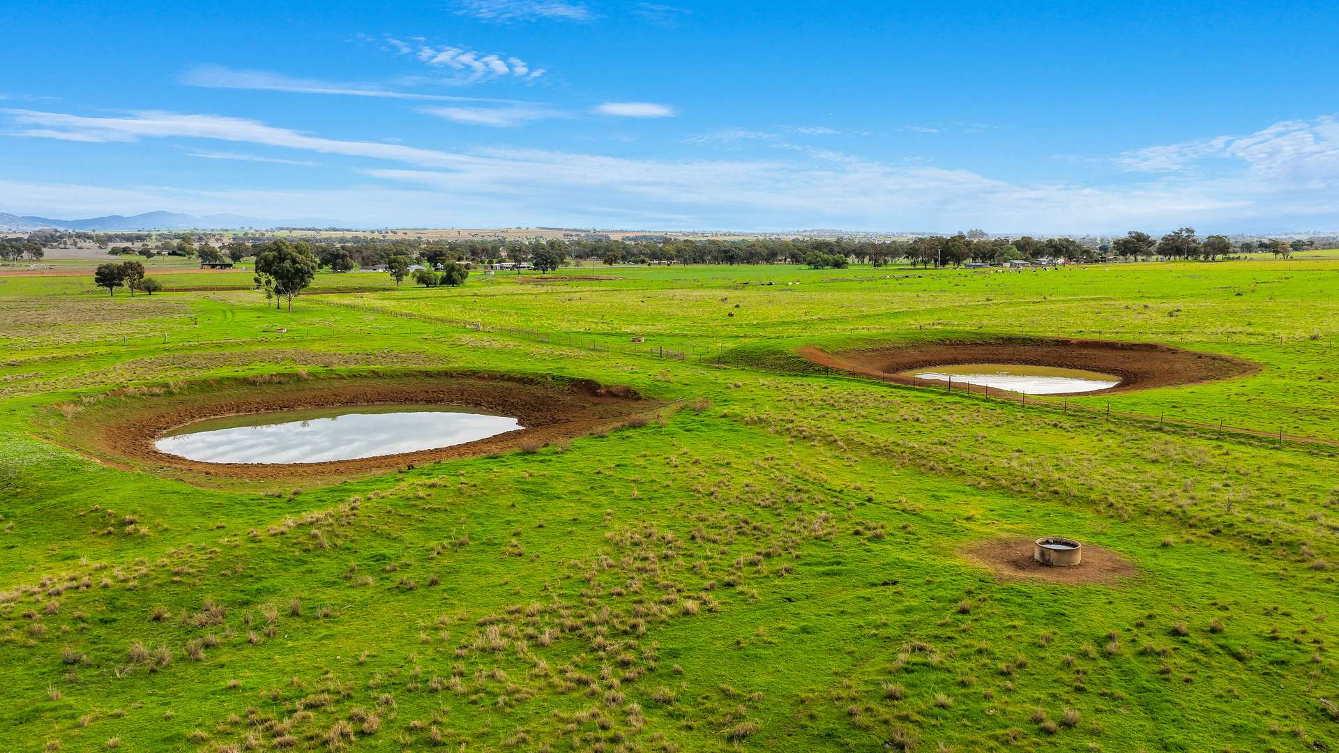 293 Meadows Lane, Tamworth For Sale by Farmbuy.com - image 17
