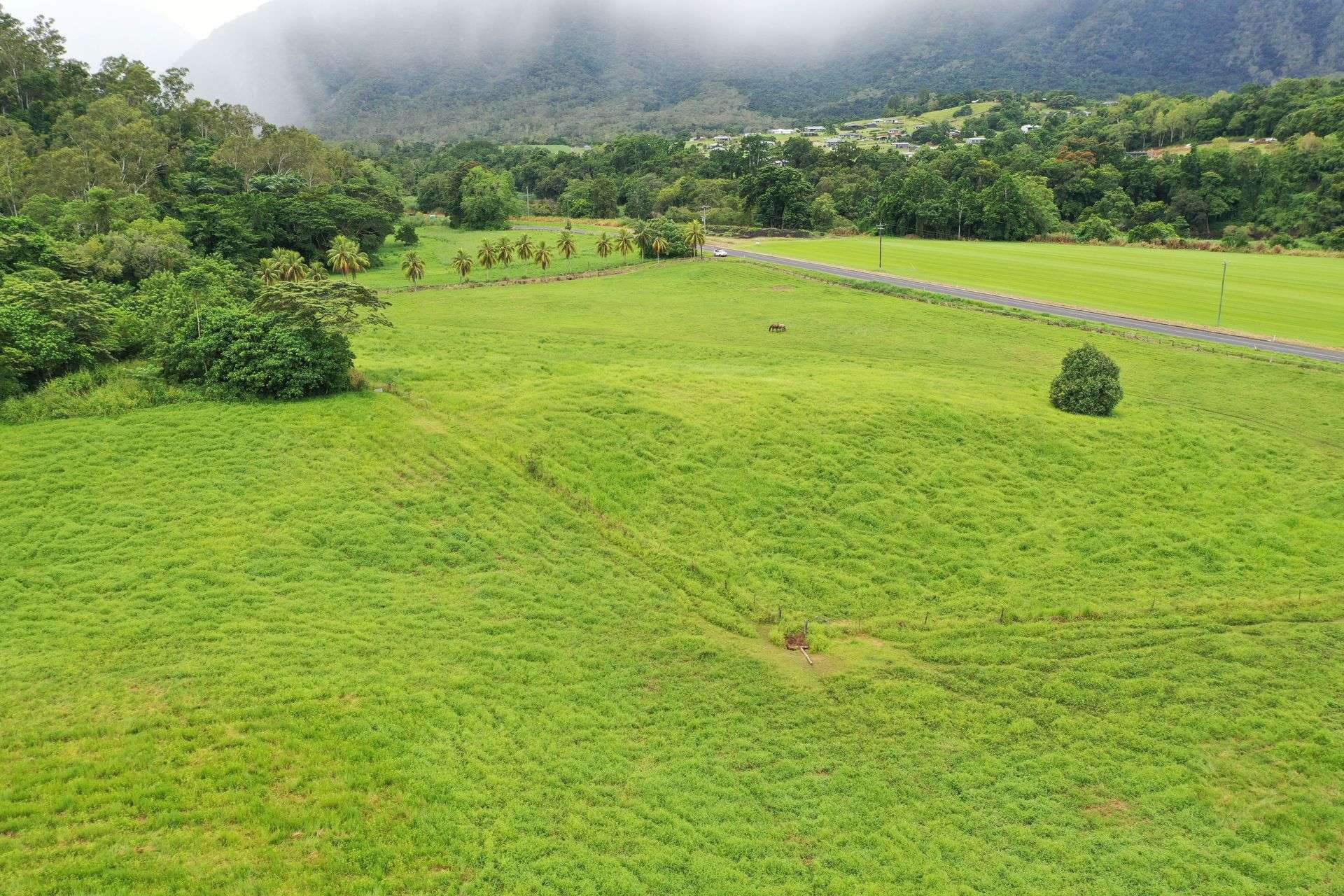 Gillies Range Road, Little Mulgrave For Sale by Farmbuy.com - image 6