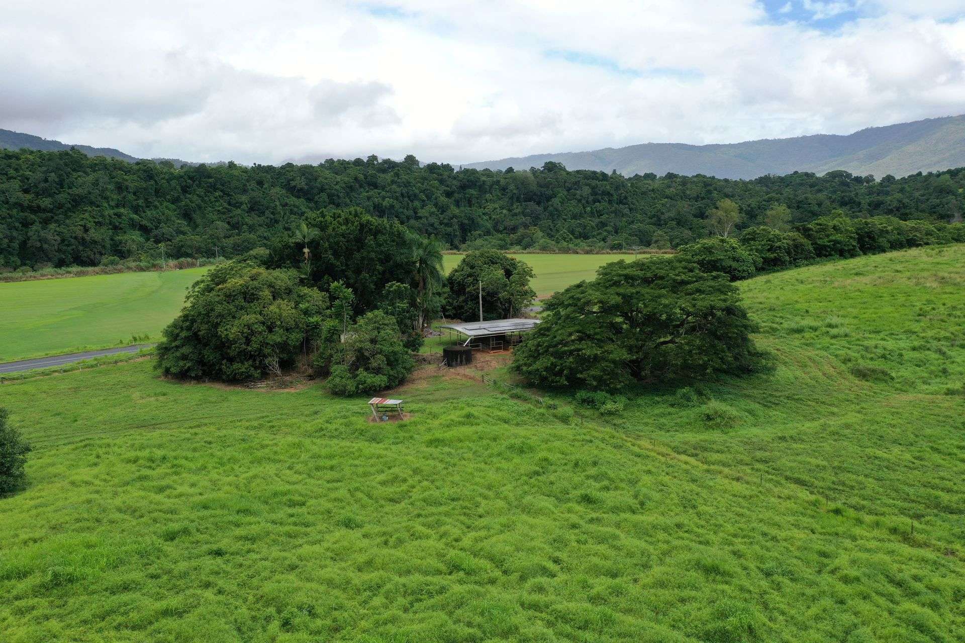 Gillies Range Road, Little Mulgrave For Sale by Farmbuy.com - image 4