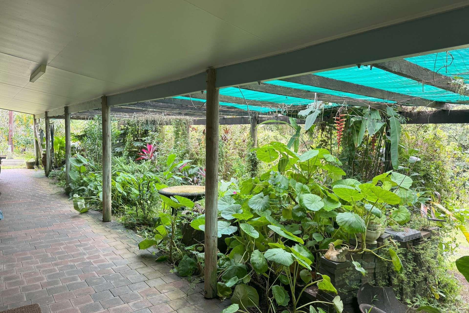 Gillies Range Road, Little Mulgrave For Sale by Farmbuy.com - image 22