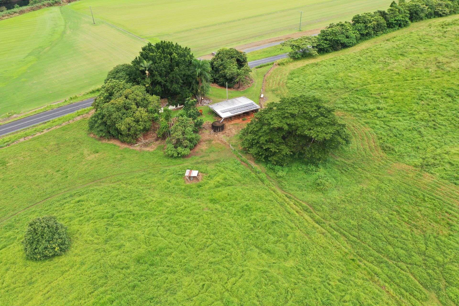 Gillies Range Road, Little Mulgrave For Sale by Farmbuy.com - image 5