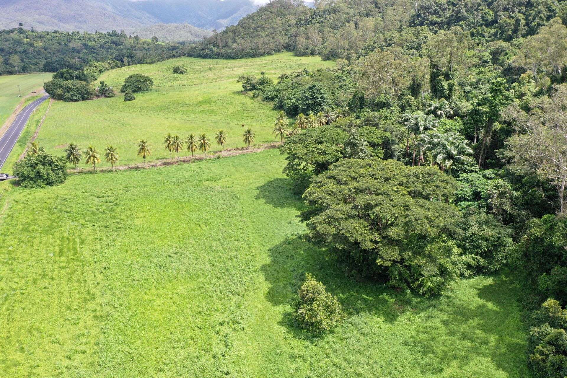 Gillies Range Road, Little Mulgrave For Sale by Farmbuy.com - image 8