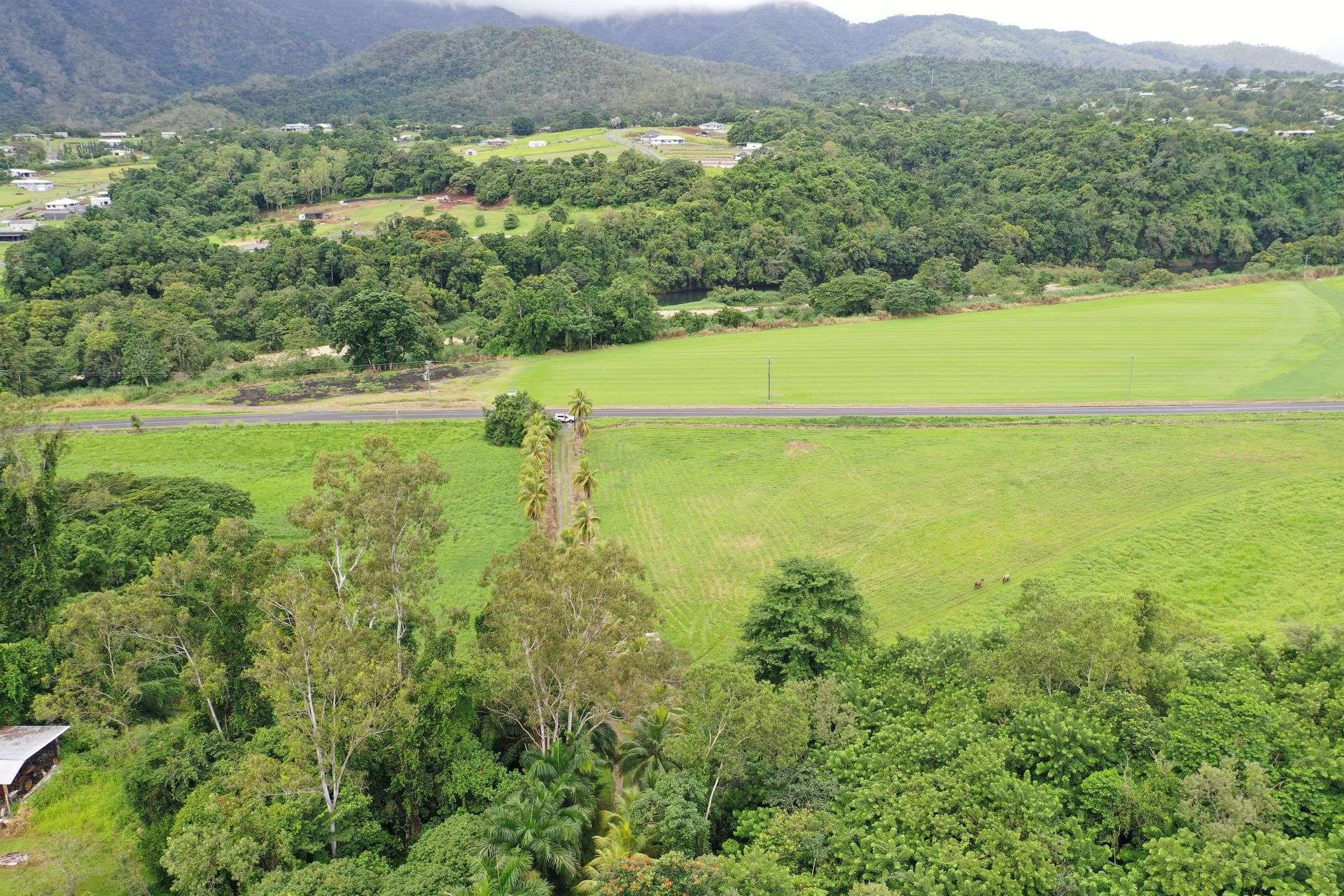 Gillies Range Road, Little Mulgrave For Sale by Farmbuy.com - image 3