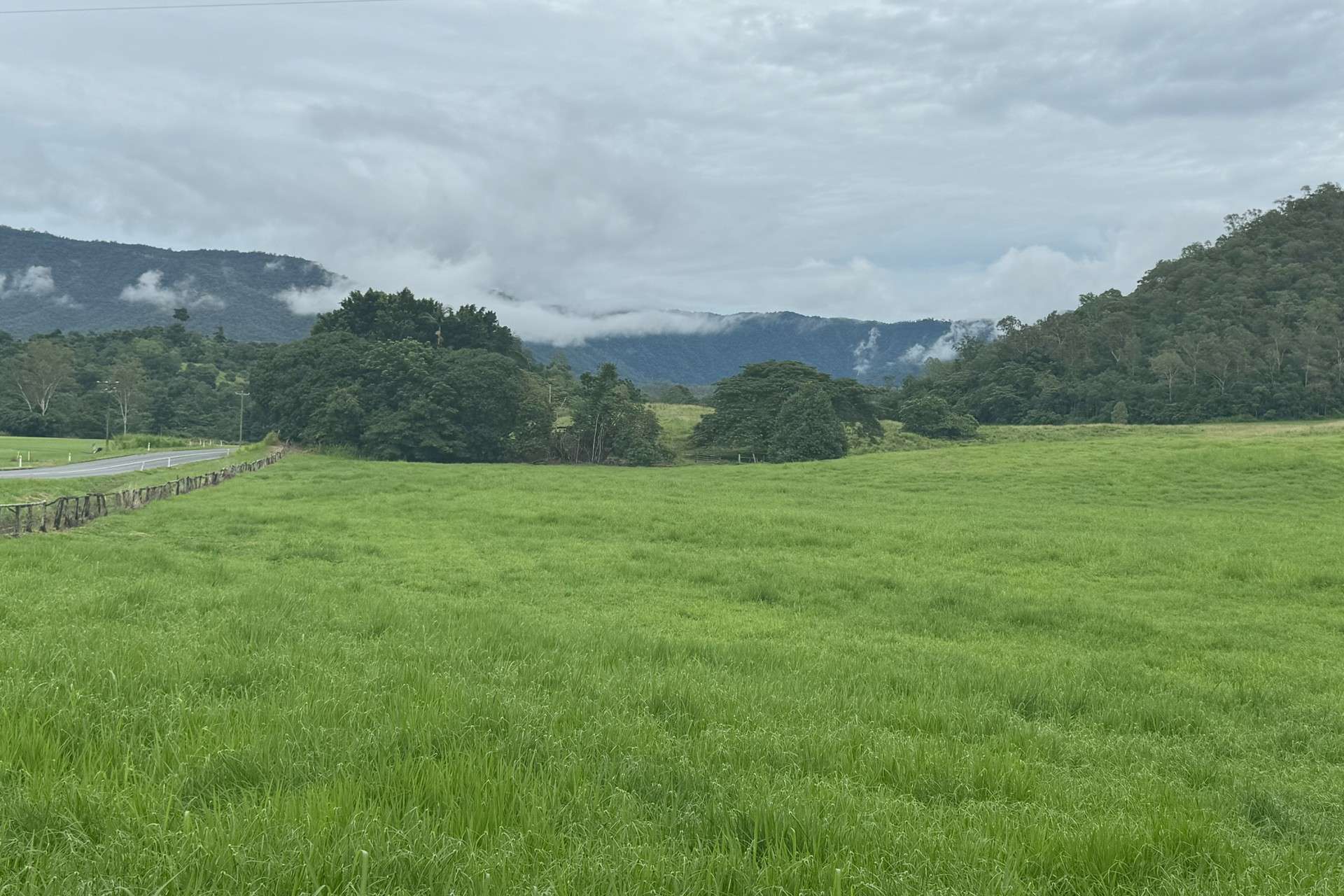 Gillies Range Road, Little Mulgrave For Sale by Farmbuy.com - image 10
