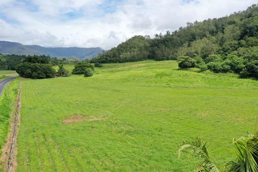 Gillies Range Road, Little Mulgrave QLD 4865