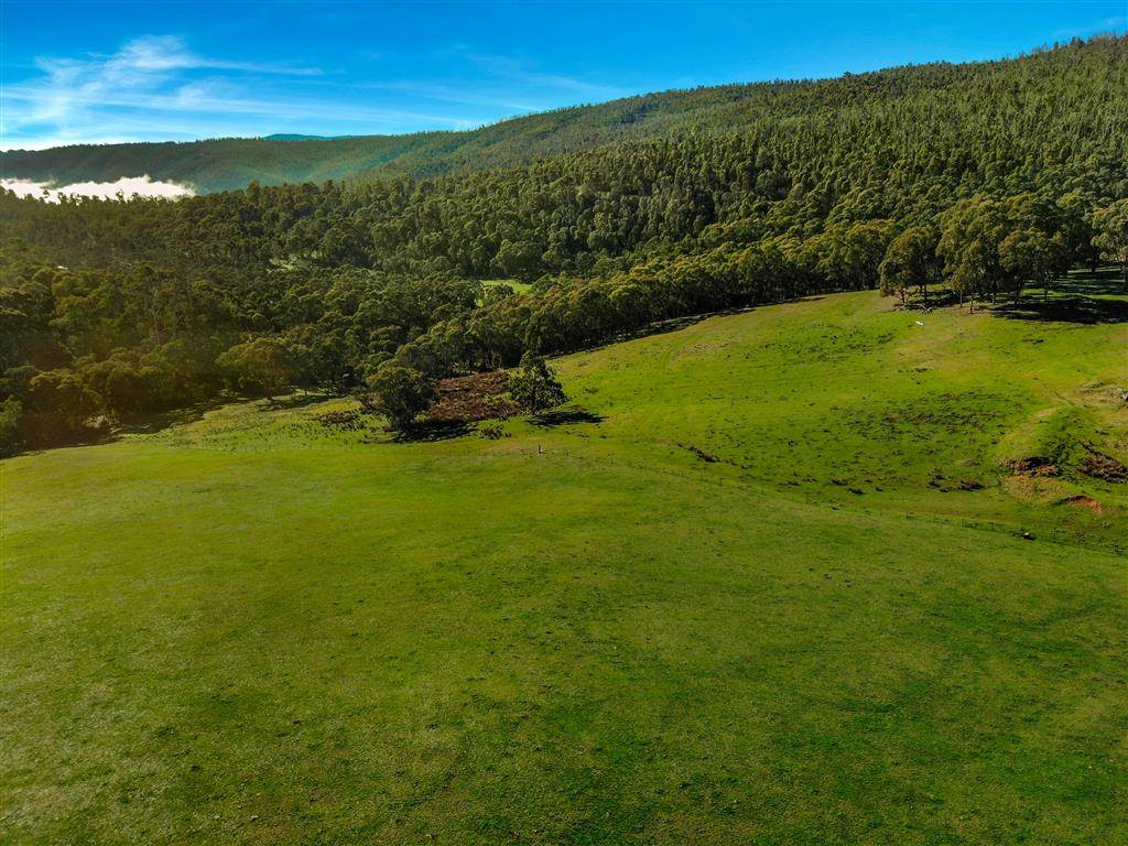 164 Keenans Road, Batlow For Sale by Farmbuy.com - image 11