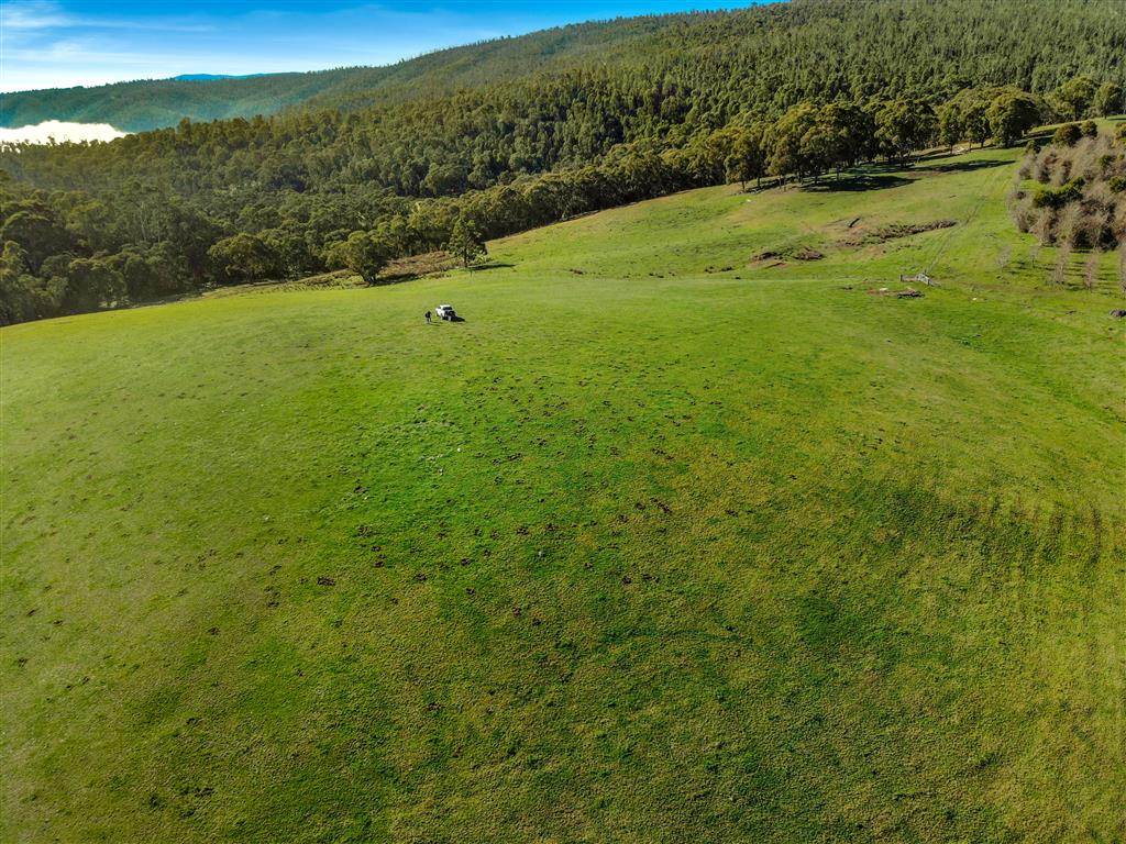164 Keenans Road, Batlow For Sale by Farmbuy.com - image 7