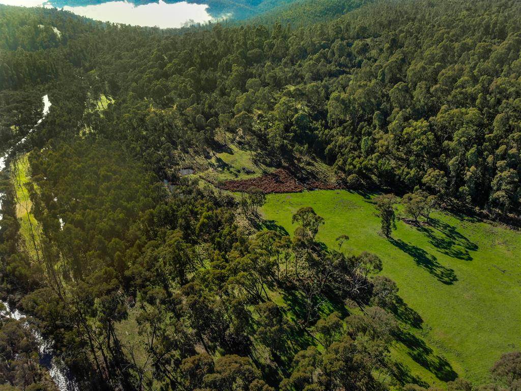 164 Keenans Road, Batlow For Sale by Farmbuy.com - image 17